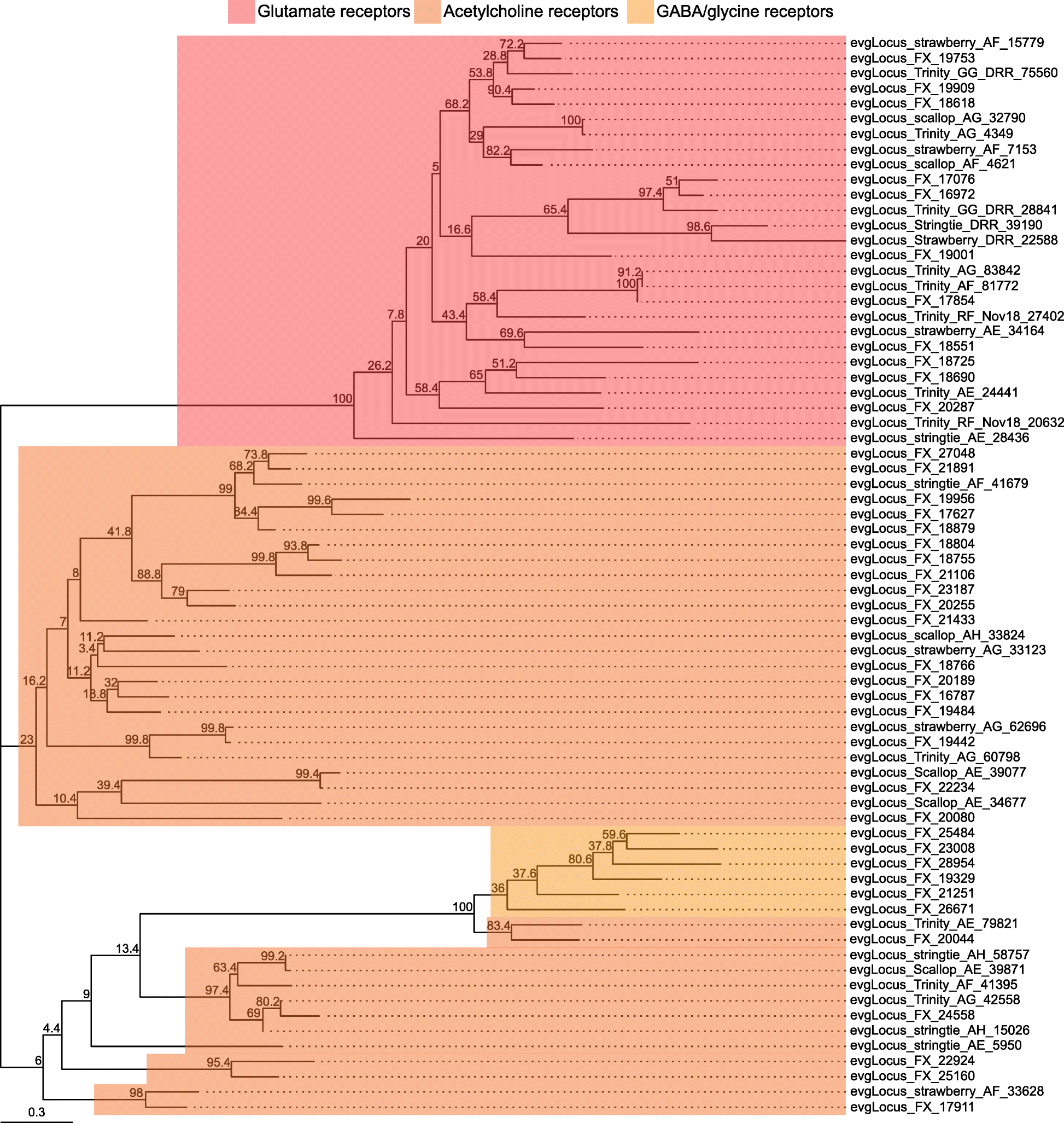 Fig. 8