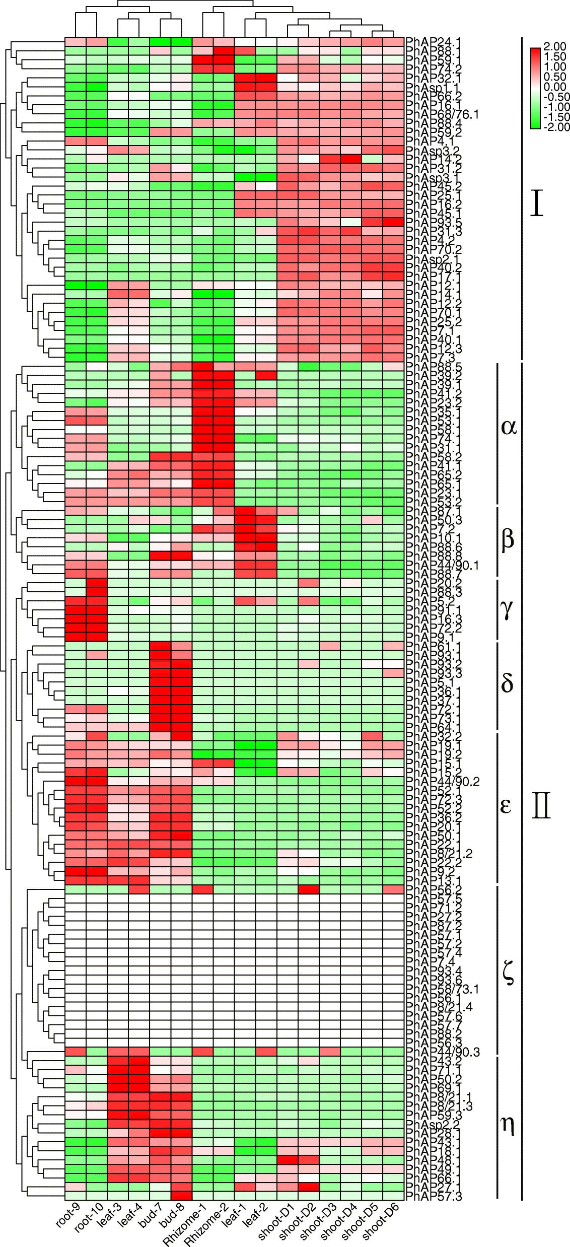 Fig. 7