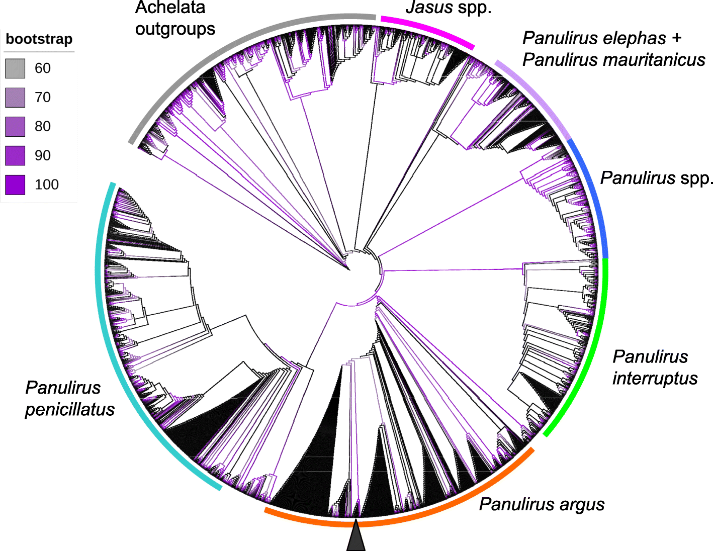 Fig. 5