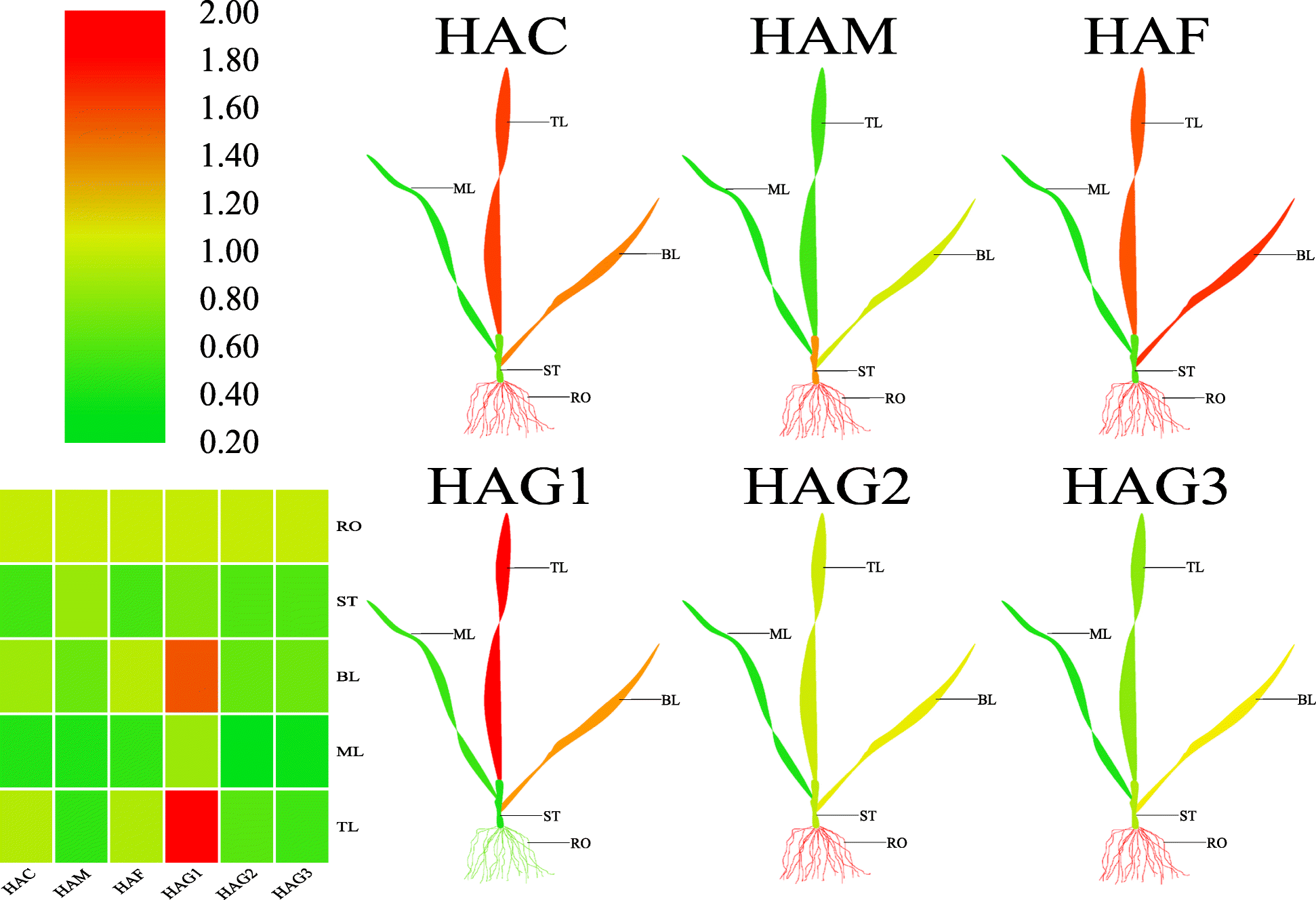 Fig. 7