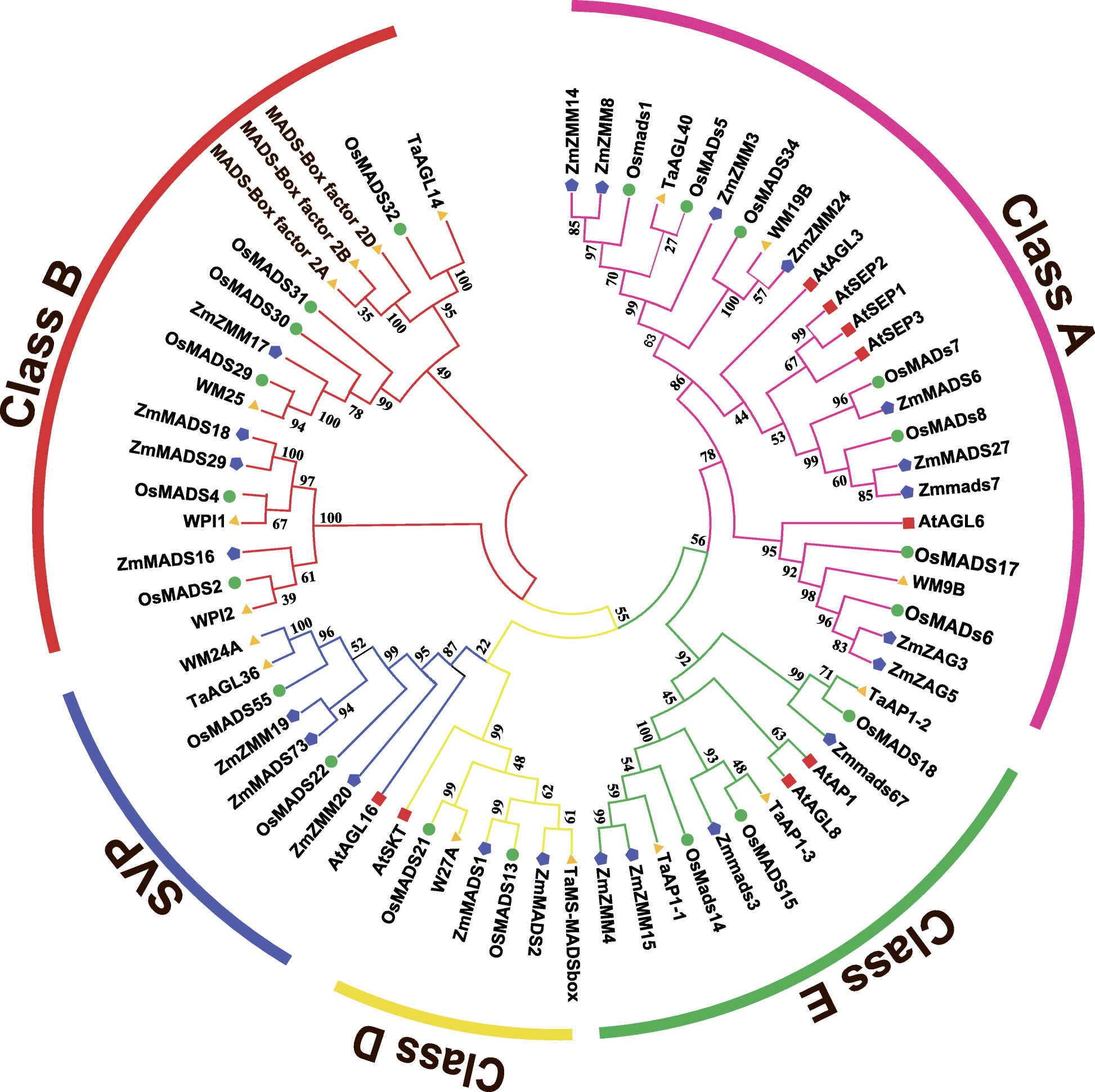 Fig. 7