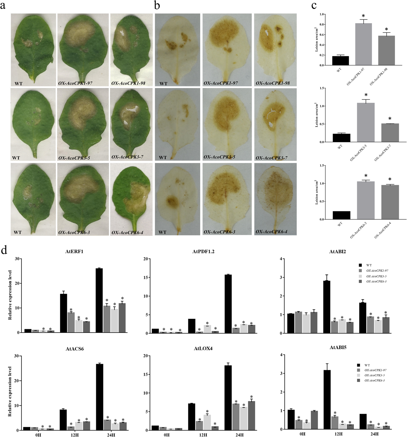 Fig. 9