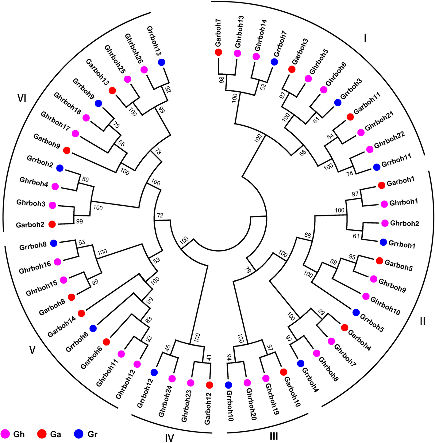 Fig. 3