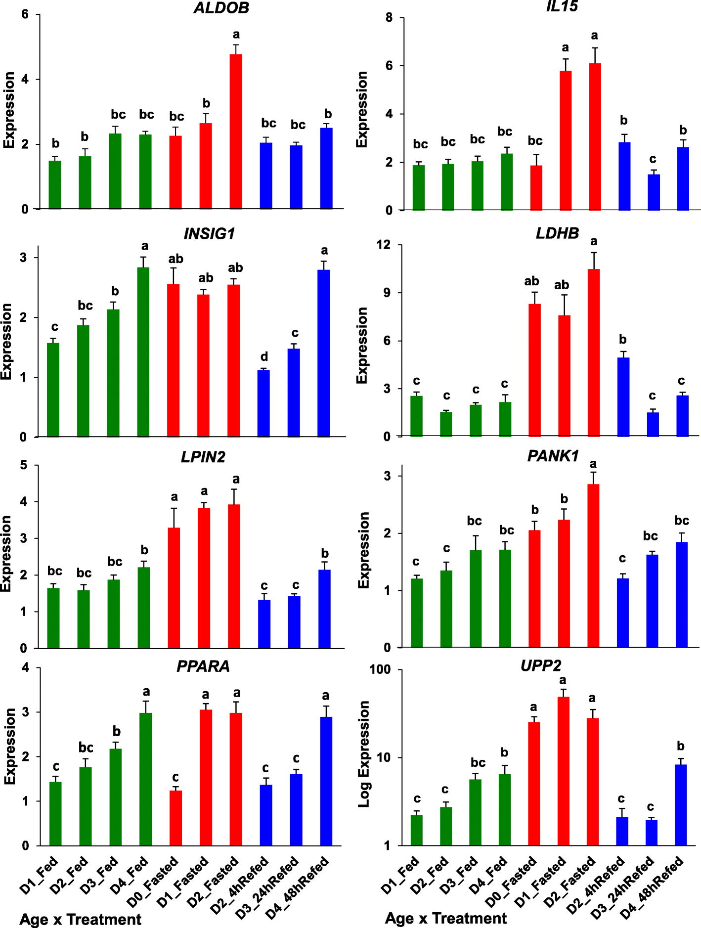 Fig. 12