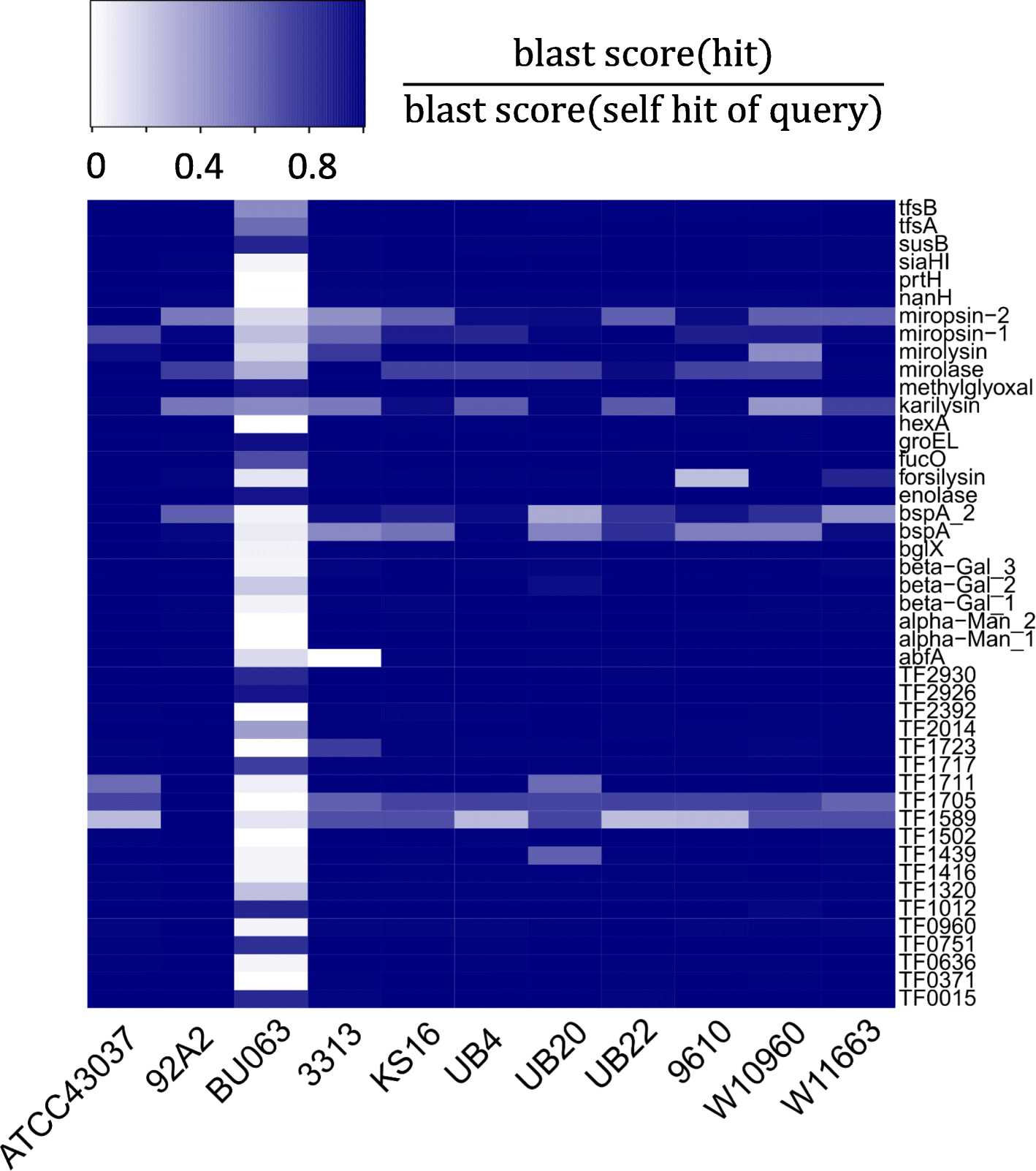 Fig. 5