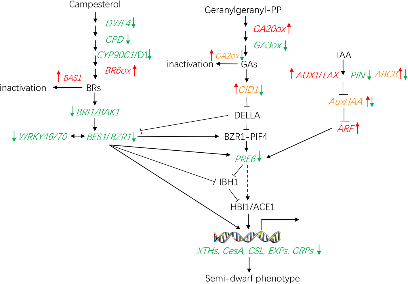 Fig. 7