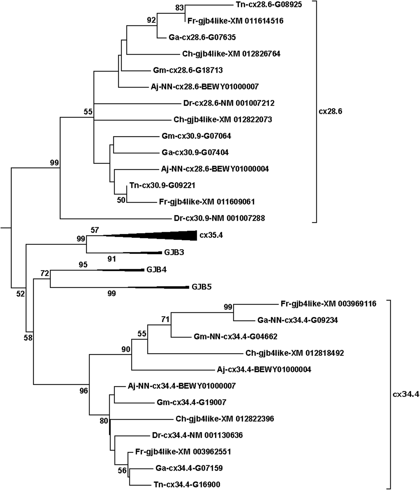 Fig. 5