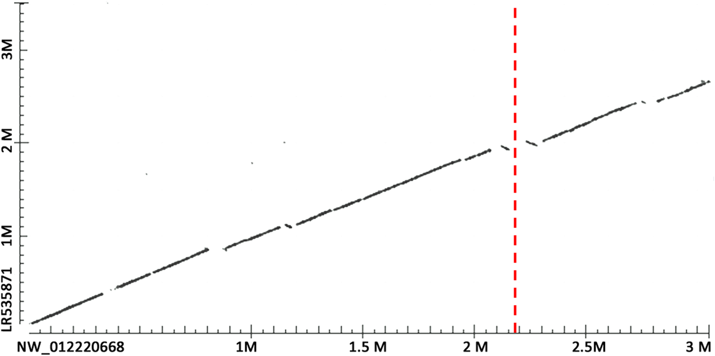 Fig. 7