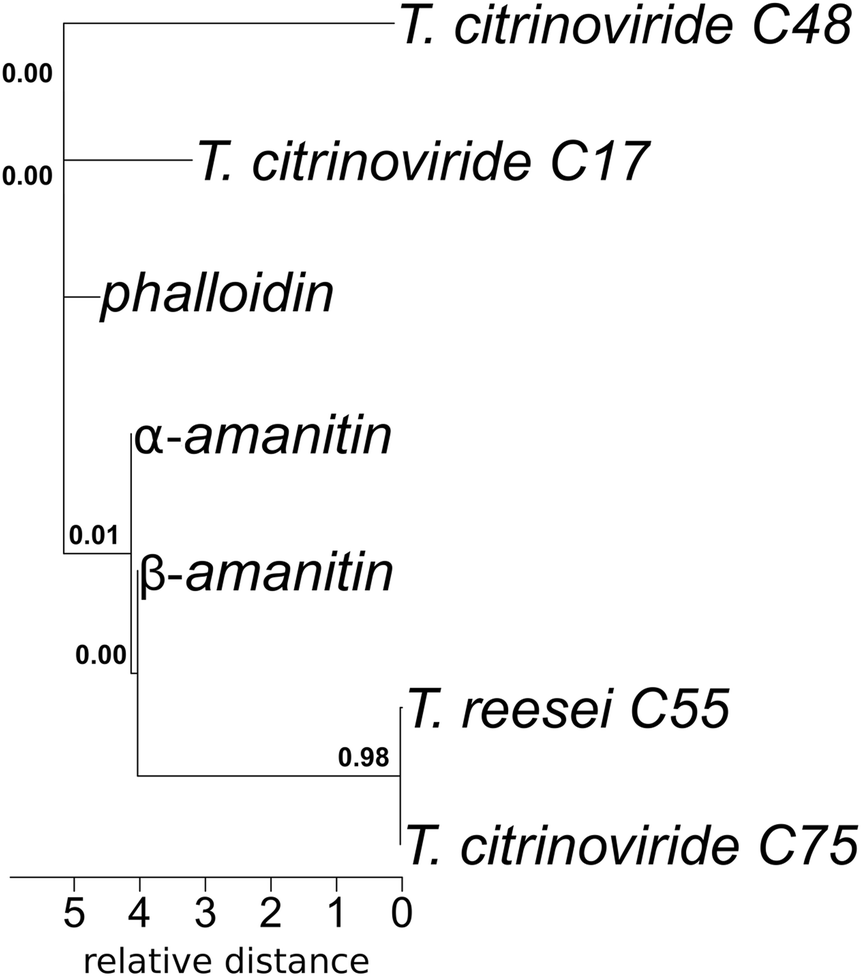 Fig. 4