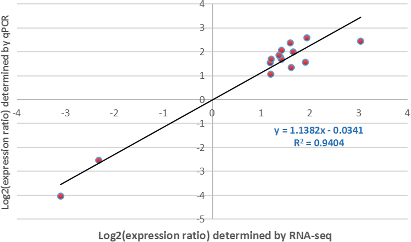 Fig. 12