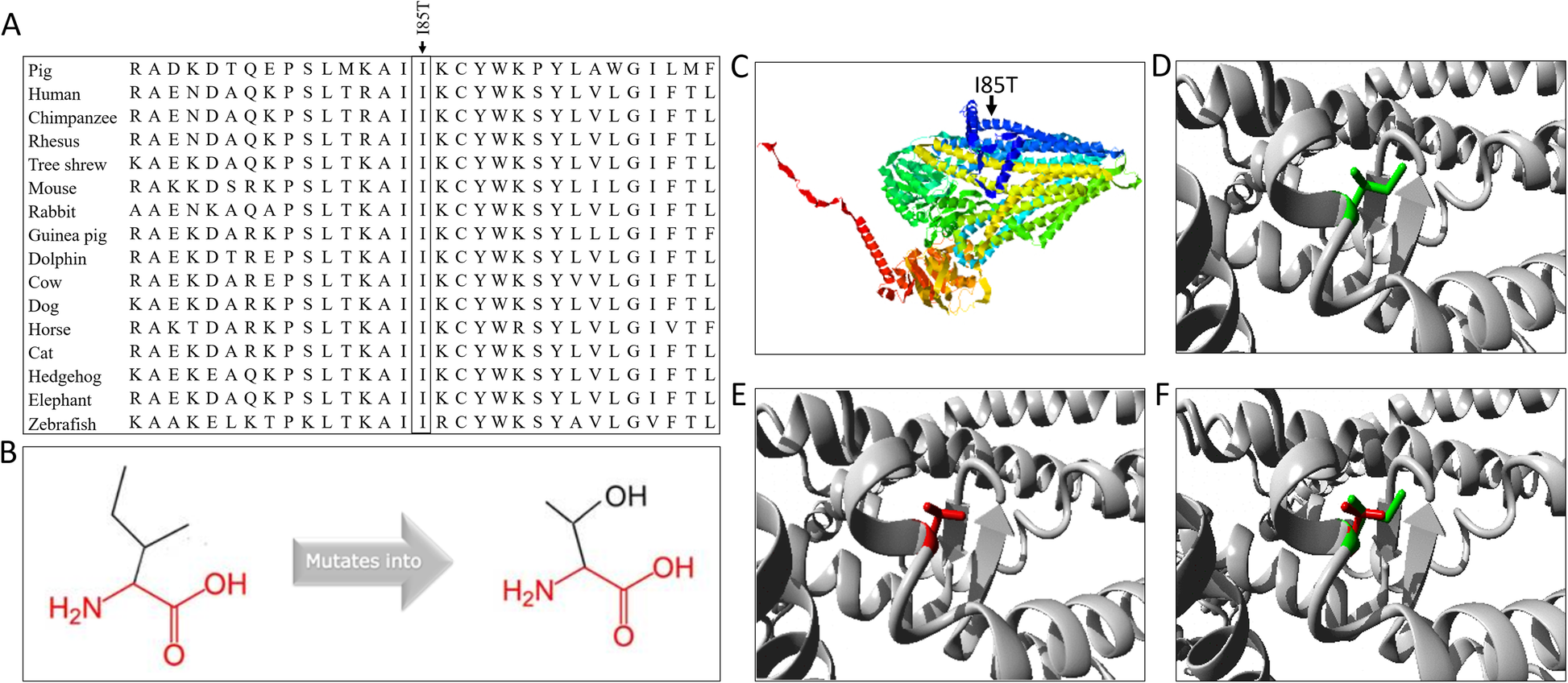 Fig. 4