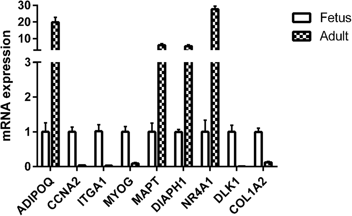 Fig. 10