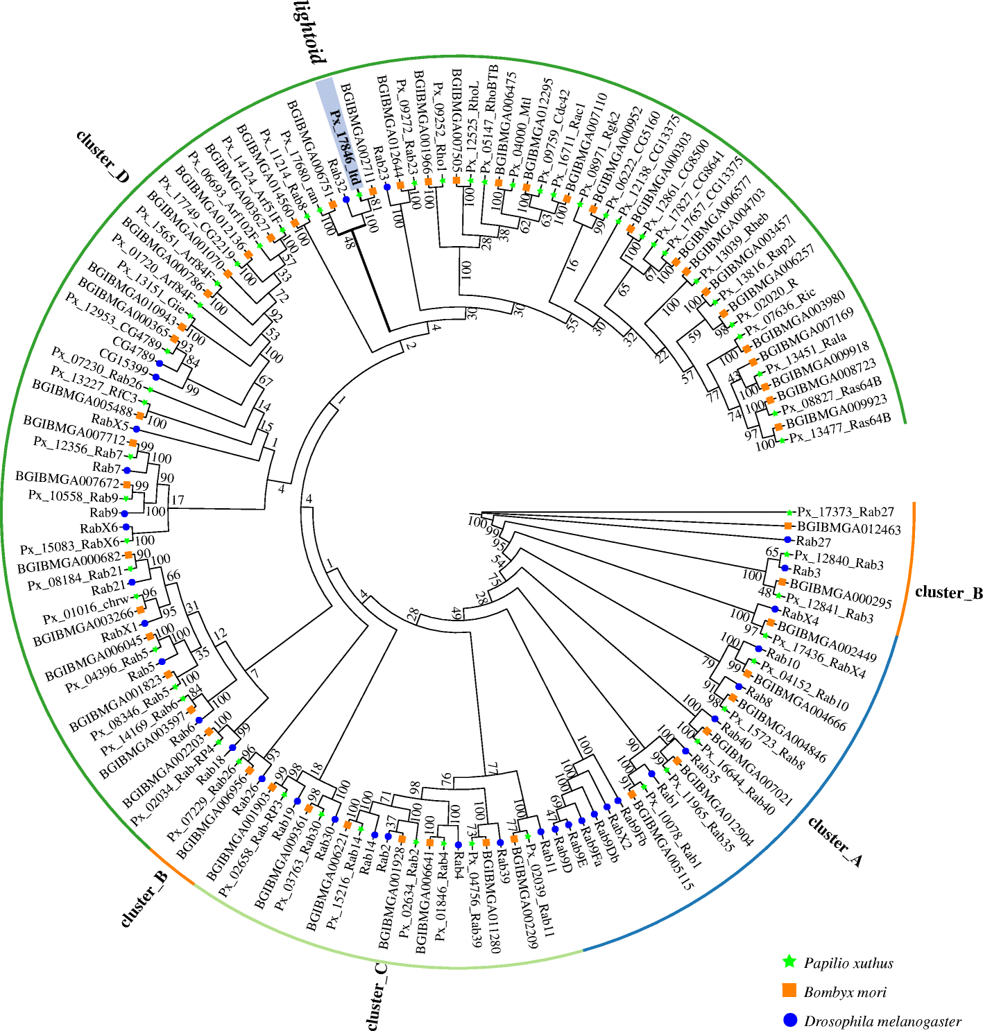 Fig. 2