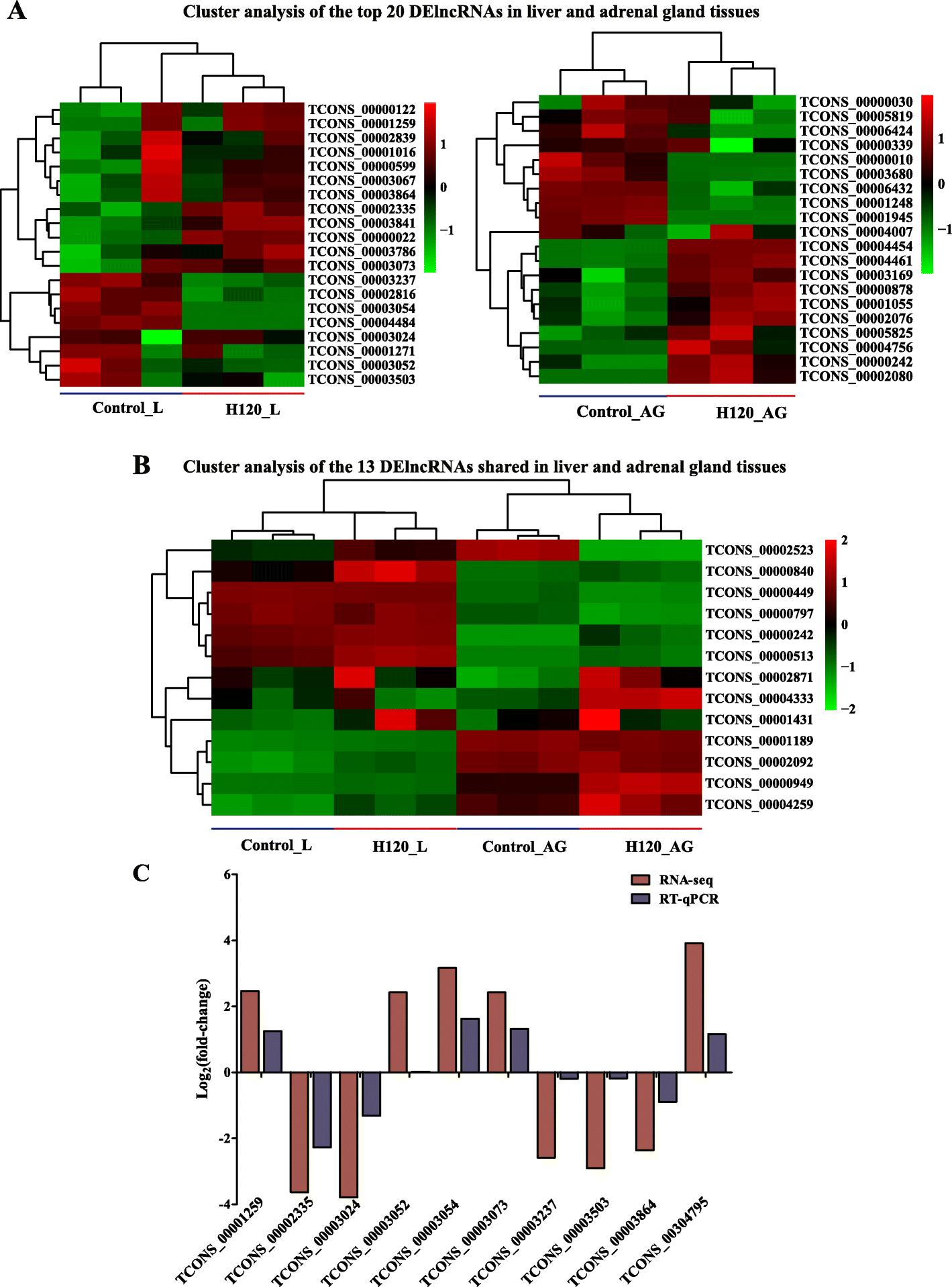 Fig. 4