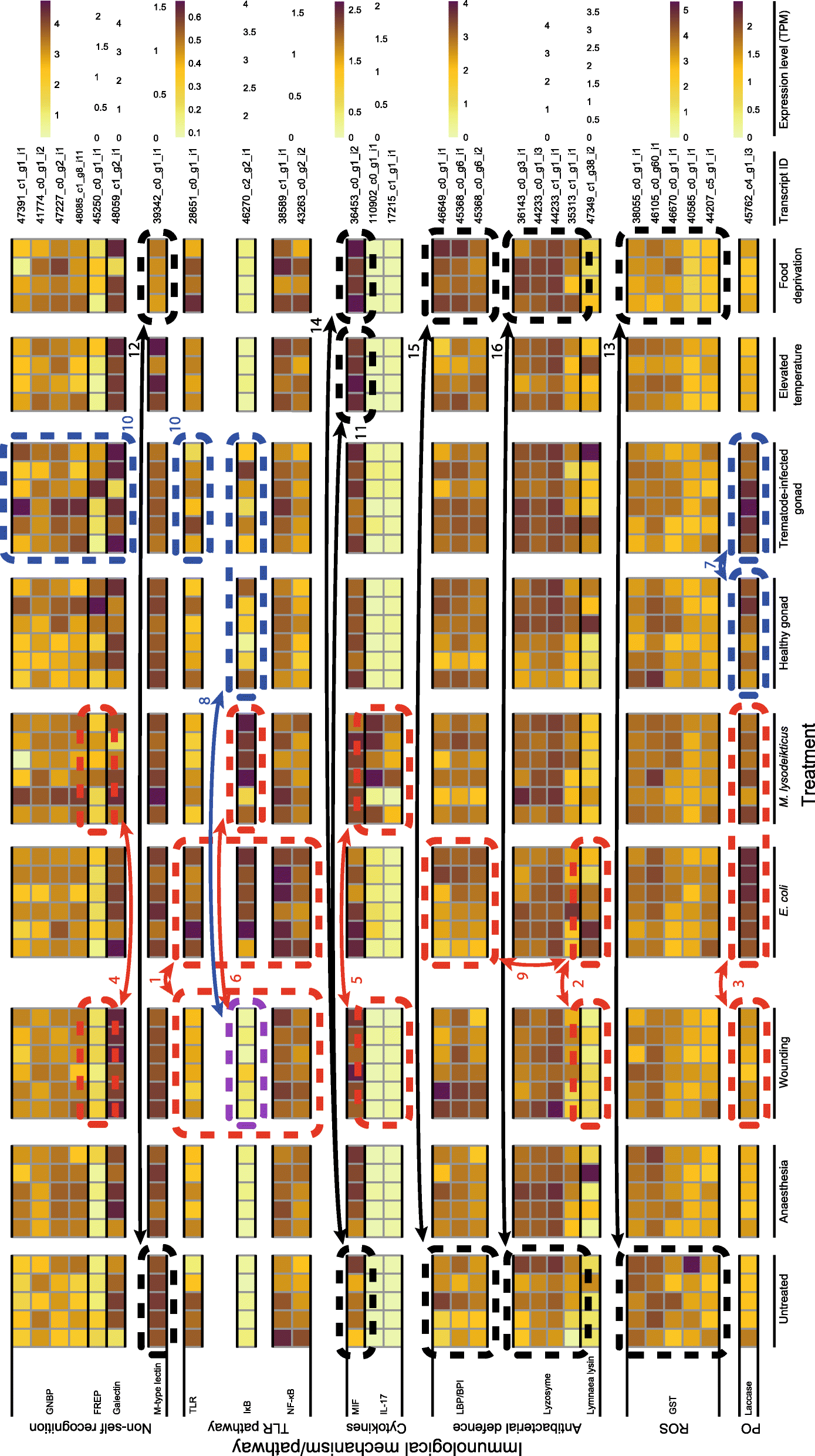 Fig. 3