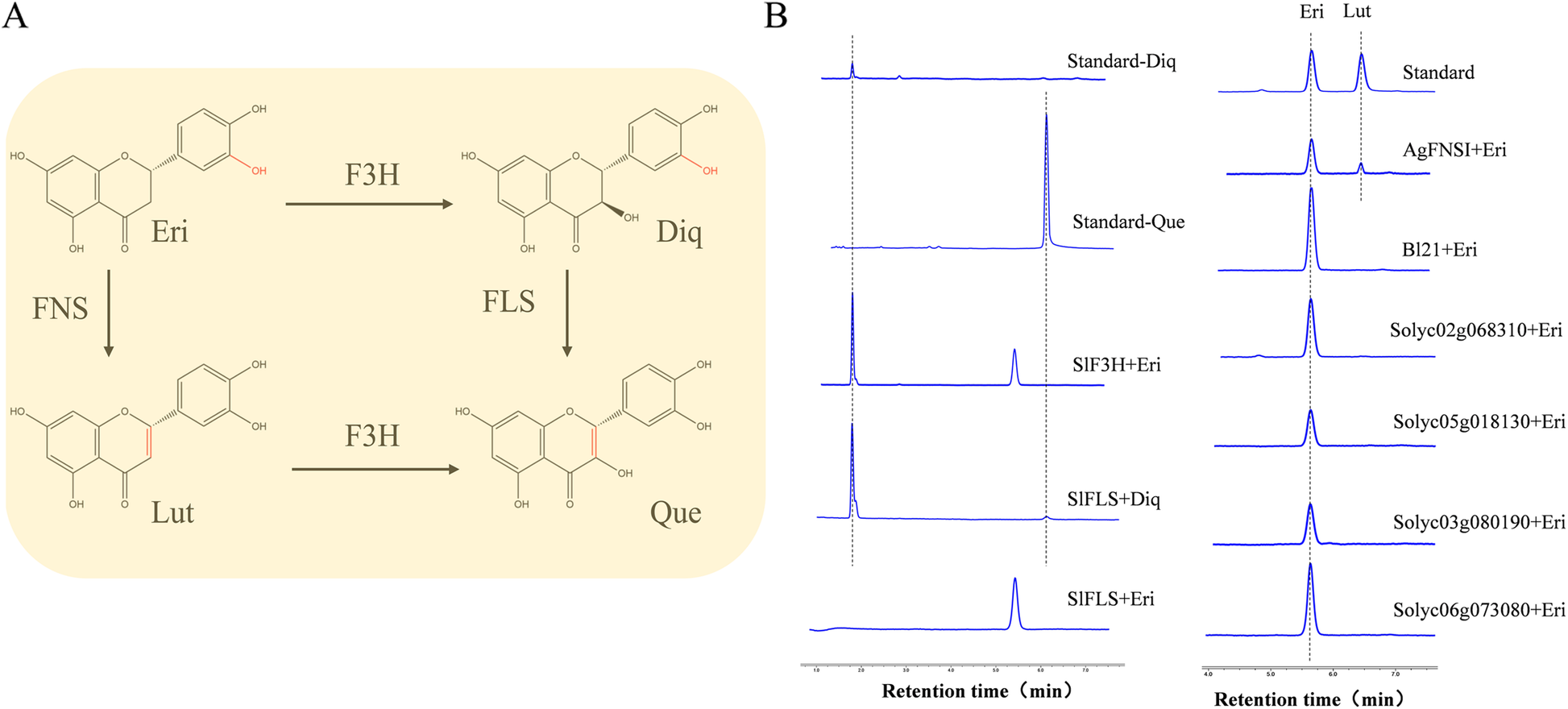 Fig. 10