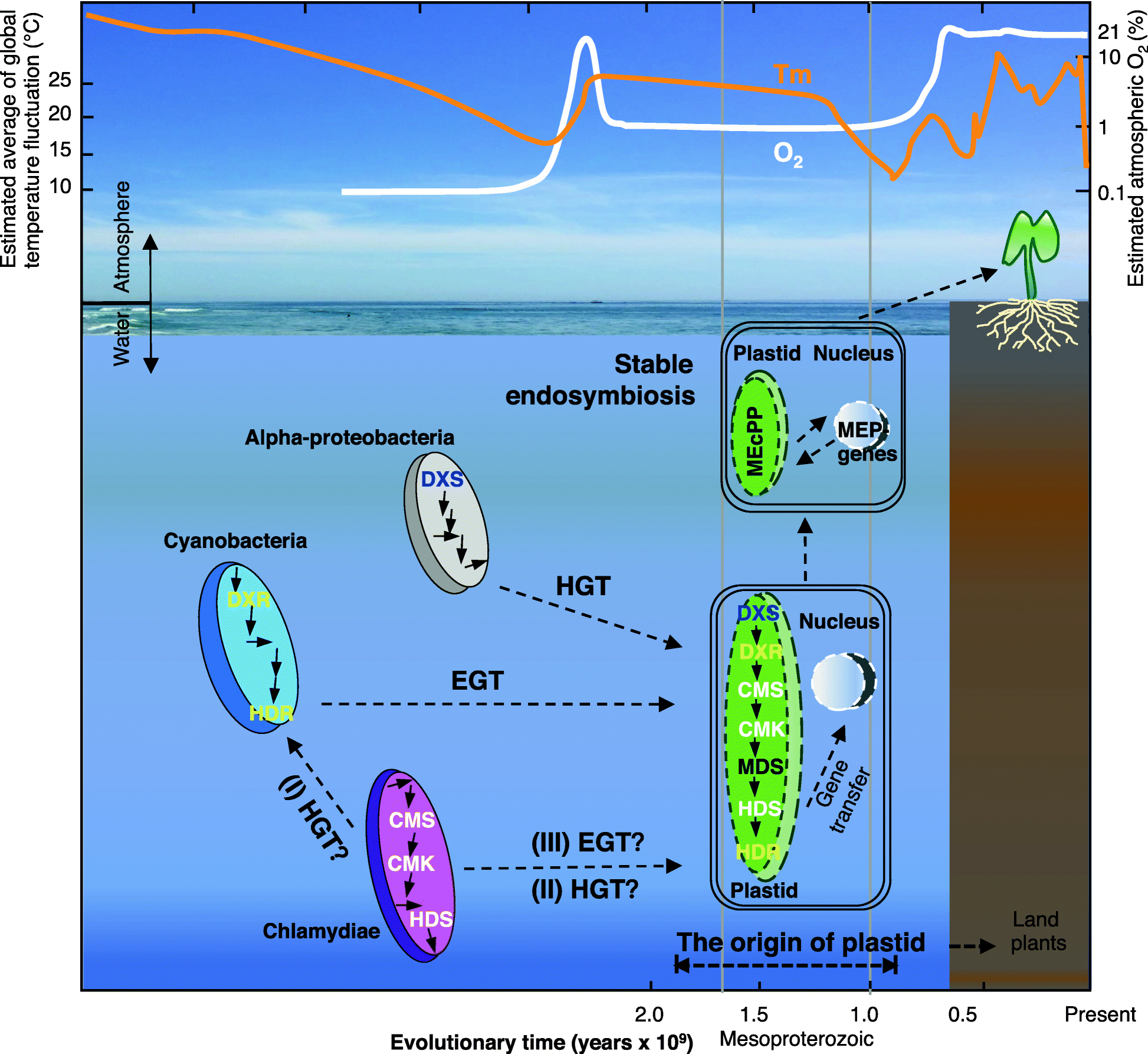 Fig. 7