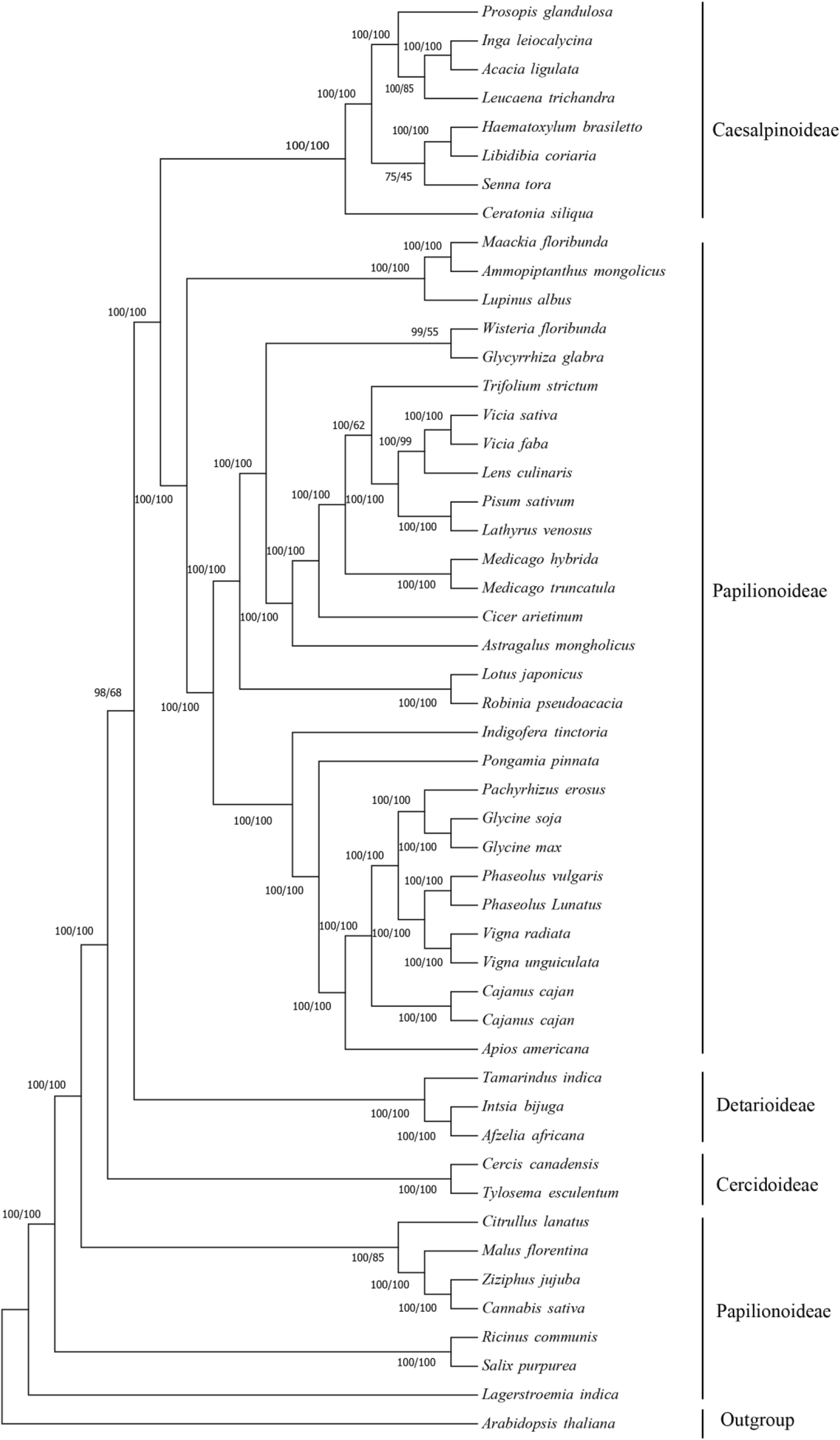 Fig. 8