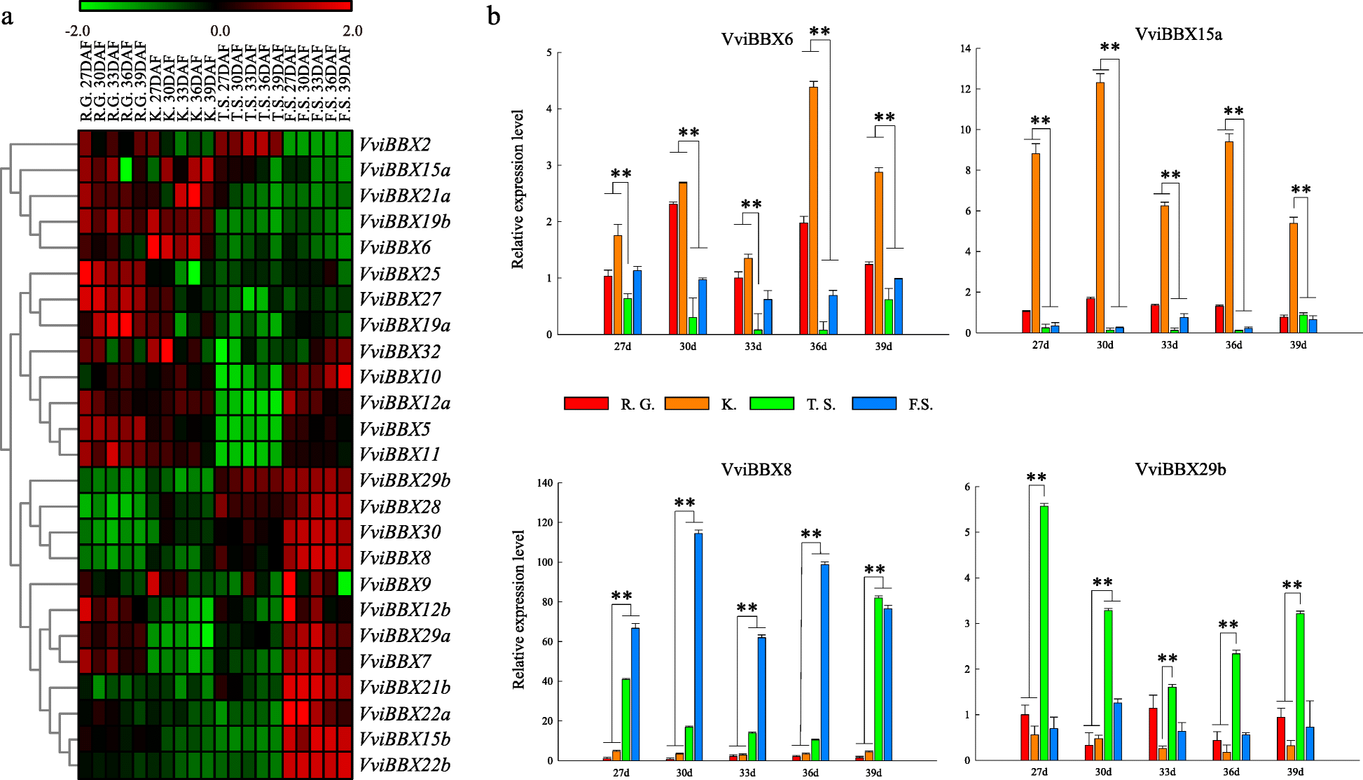 Fig. 7