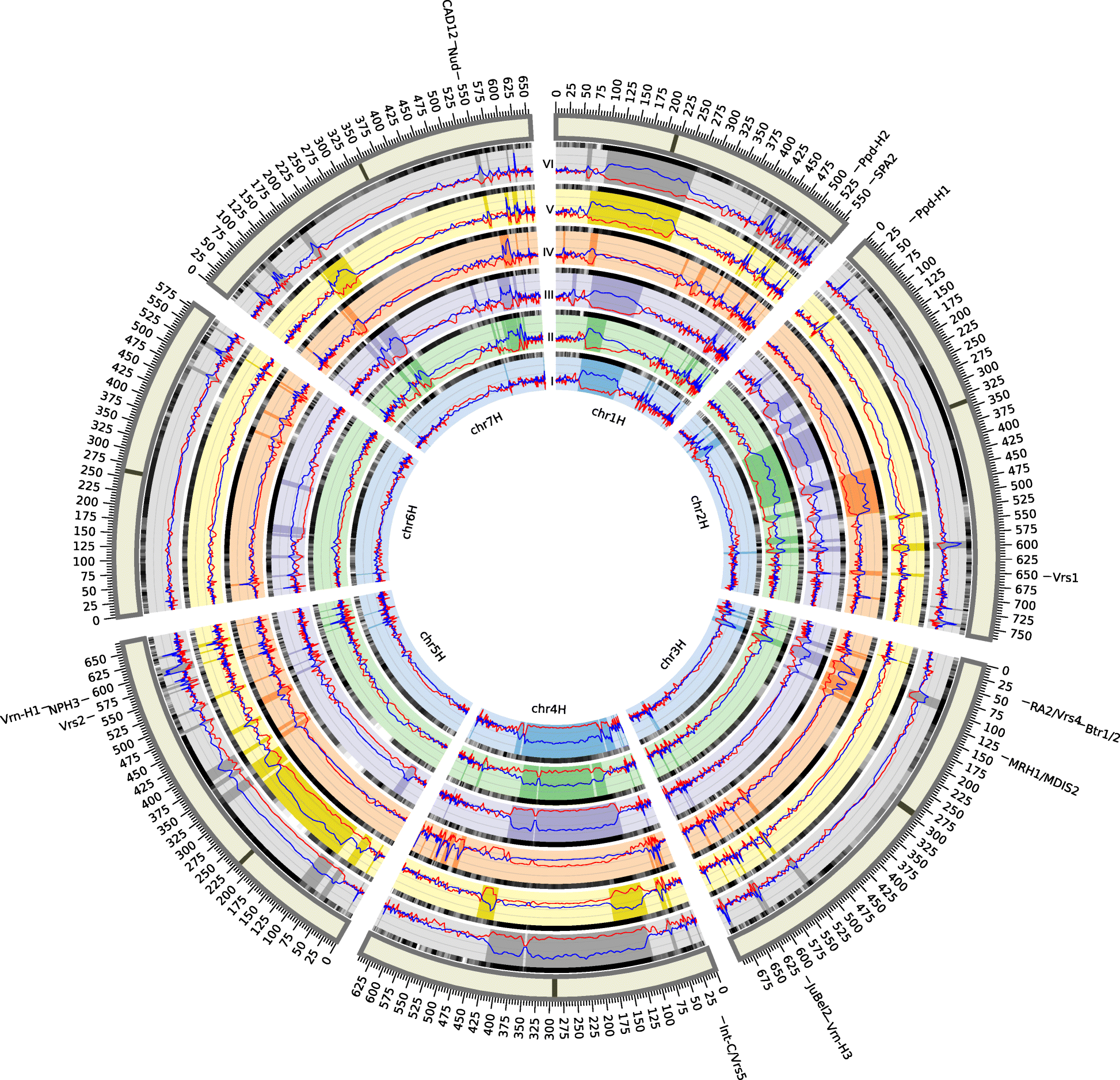 Fig. 5