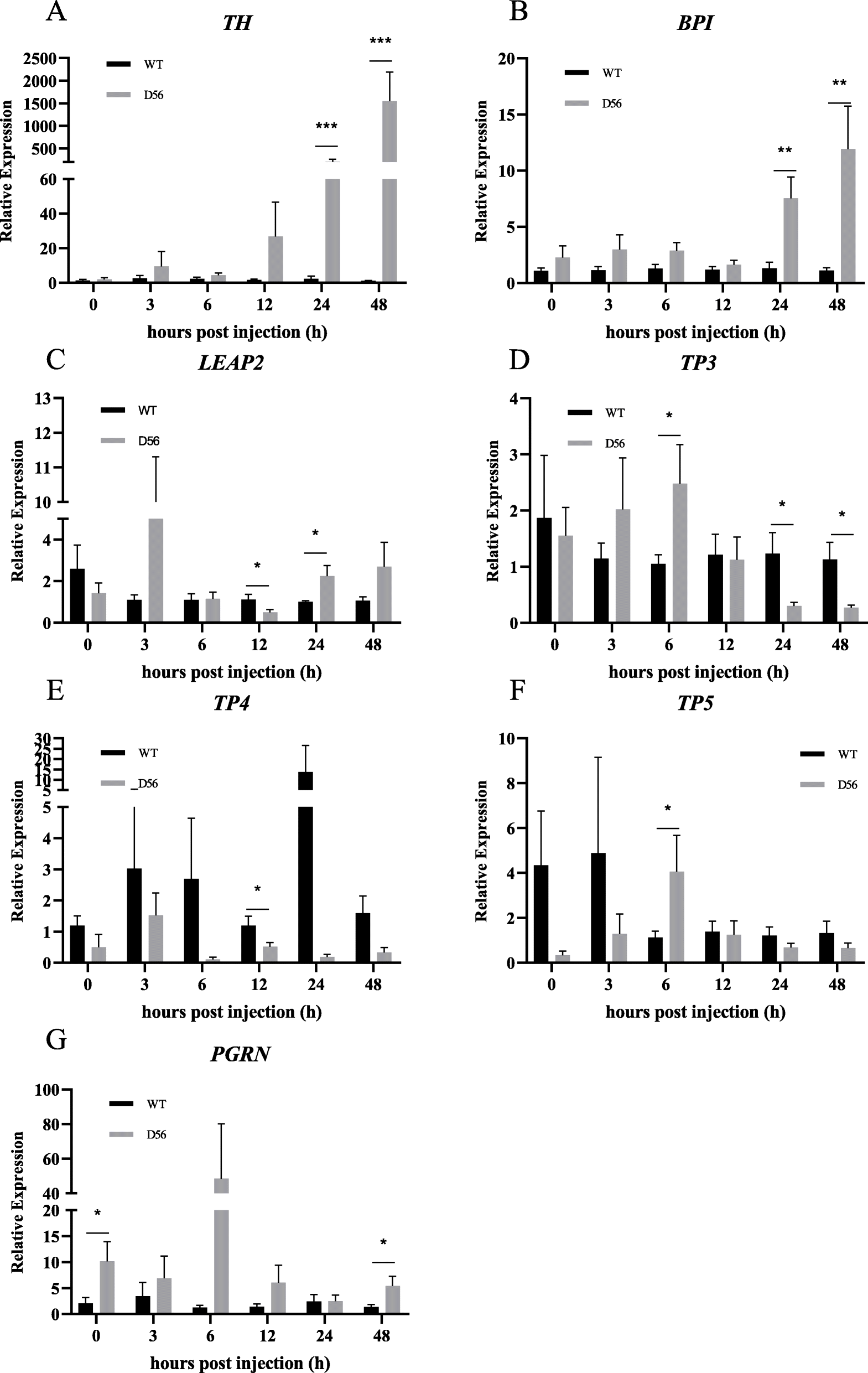 Fig. 4