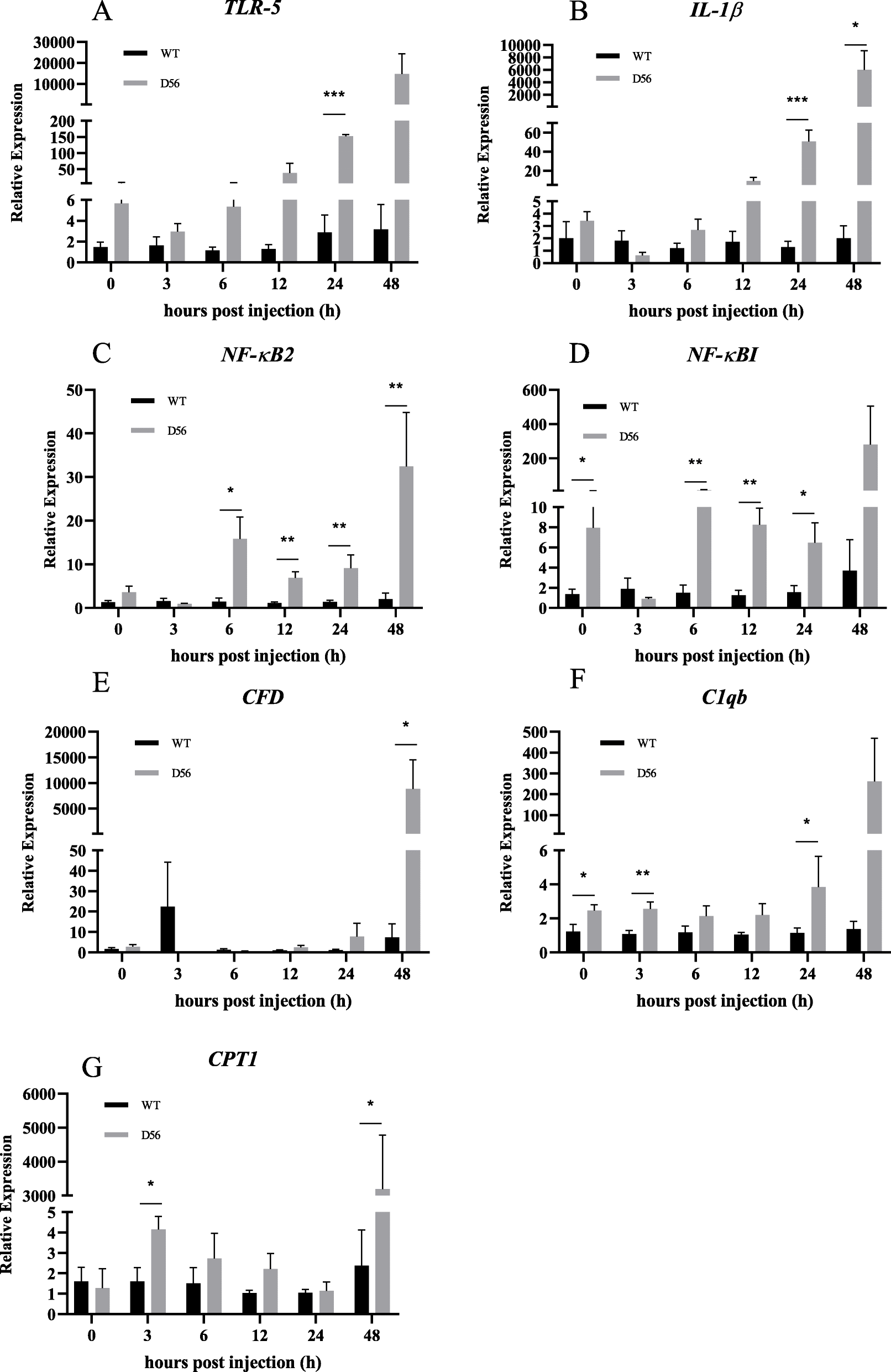 Fig. 7