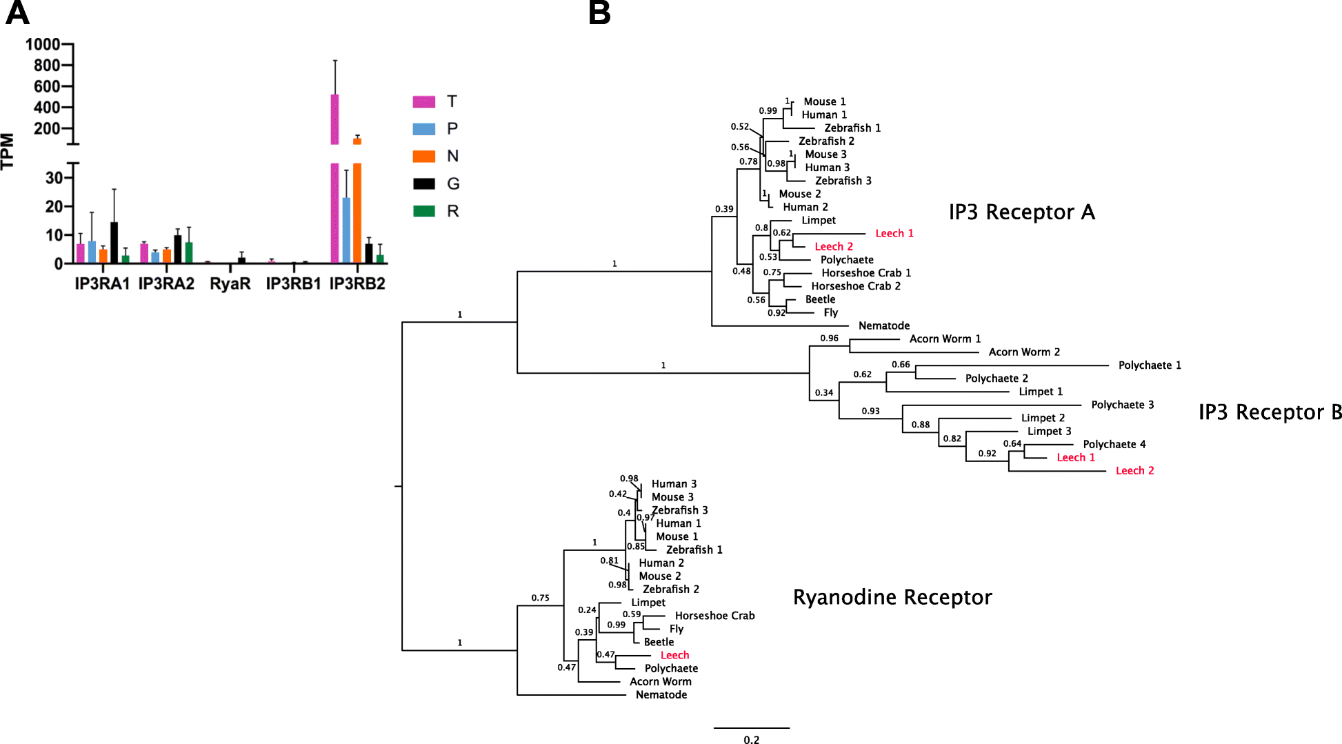 Fig. 7