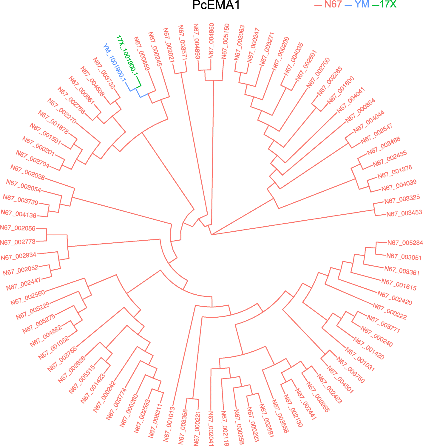 Fig. 4