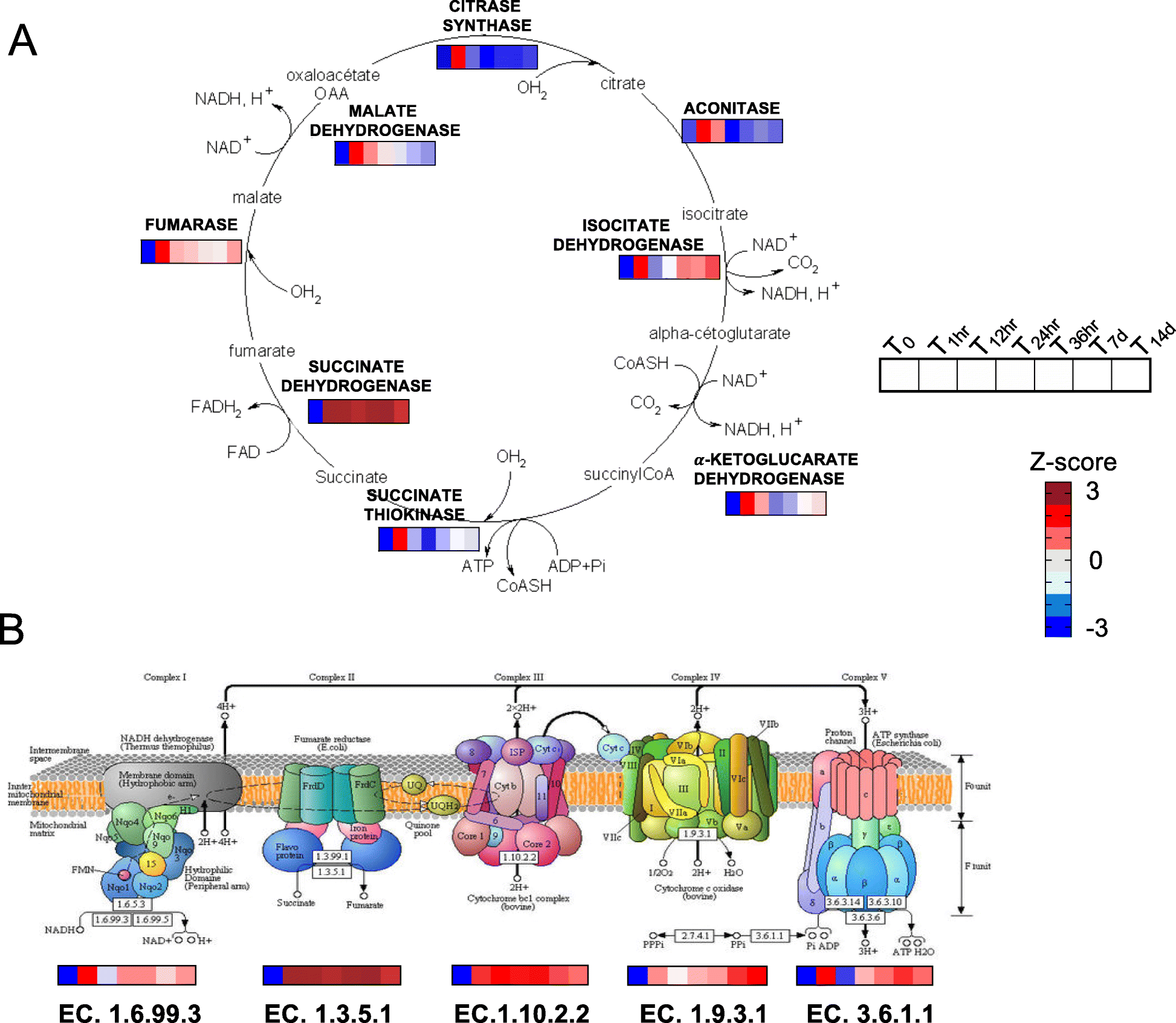 Fig. 4