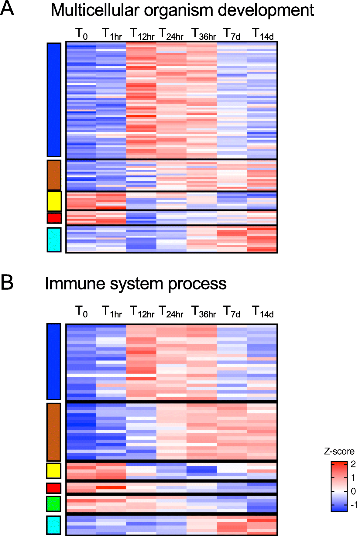 Fig. 9