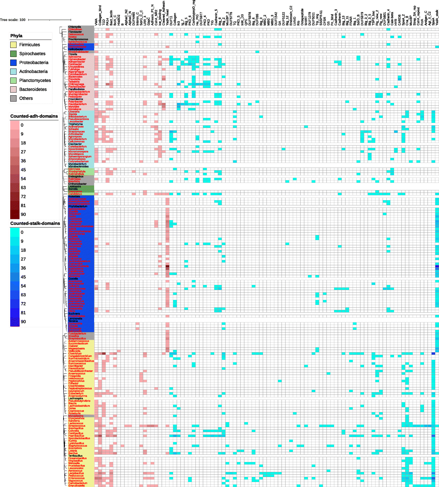 Fig. 6