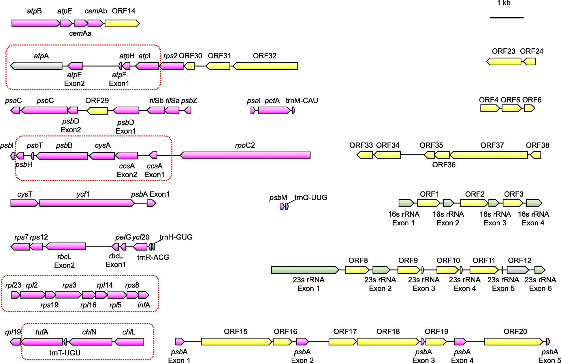 Fig. 2