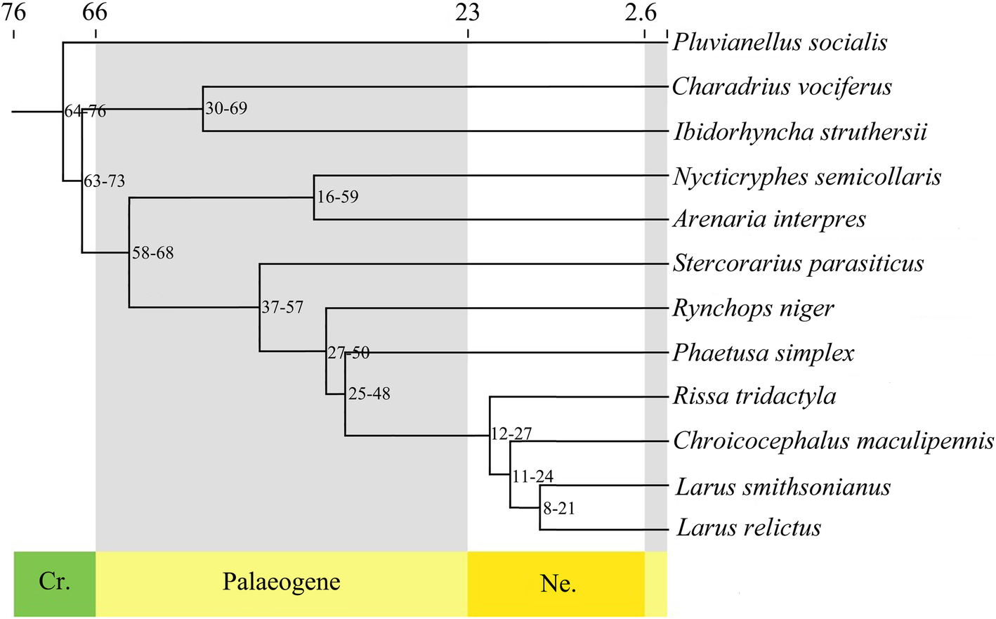 Fig. 2