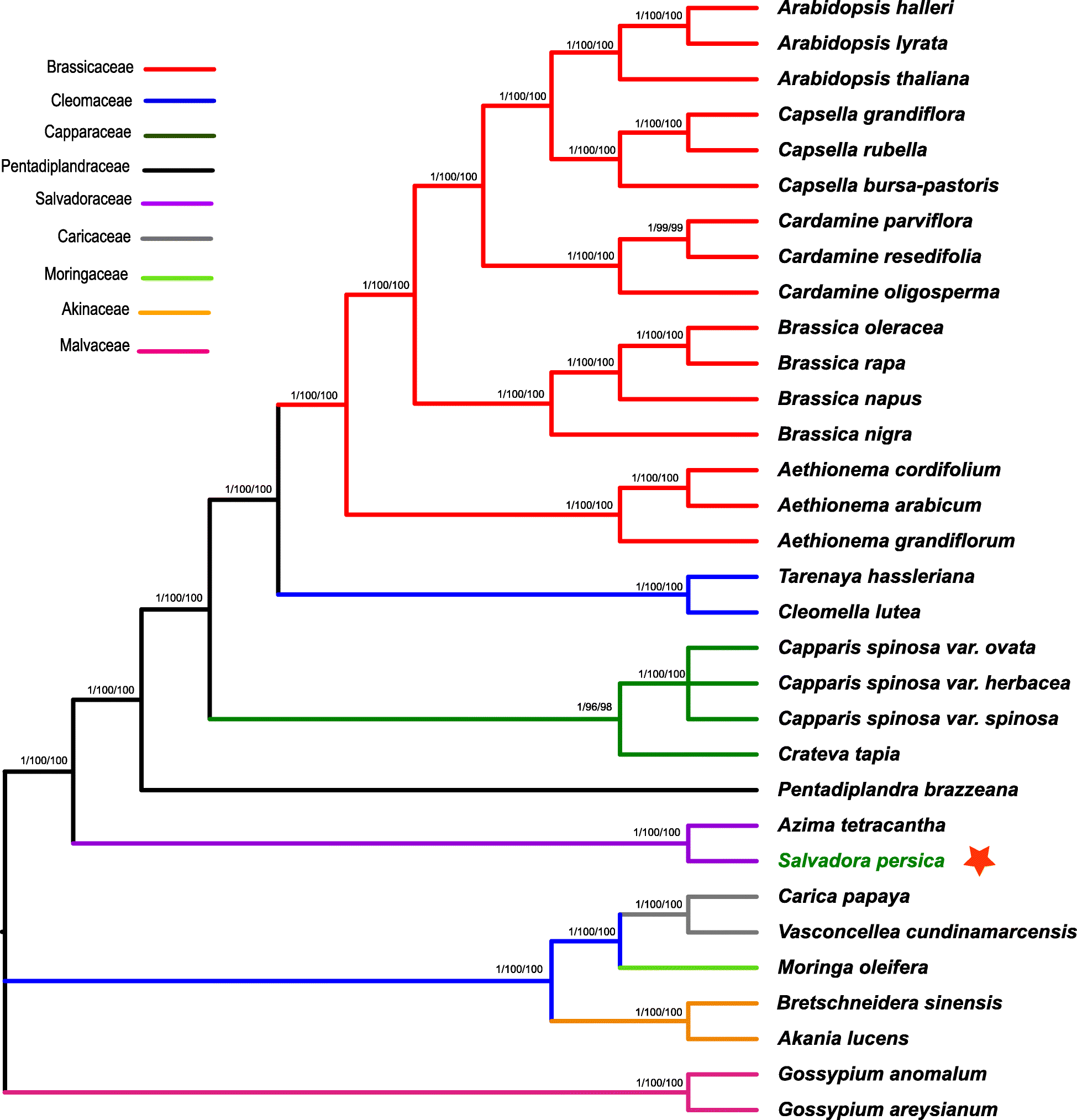 Fig. 5