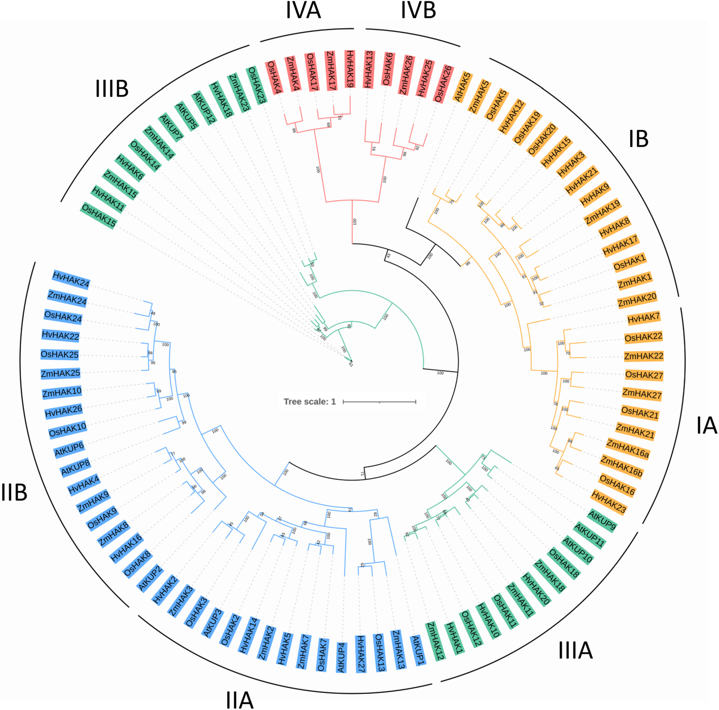 Fig. 1