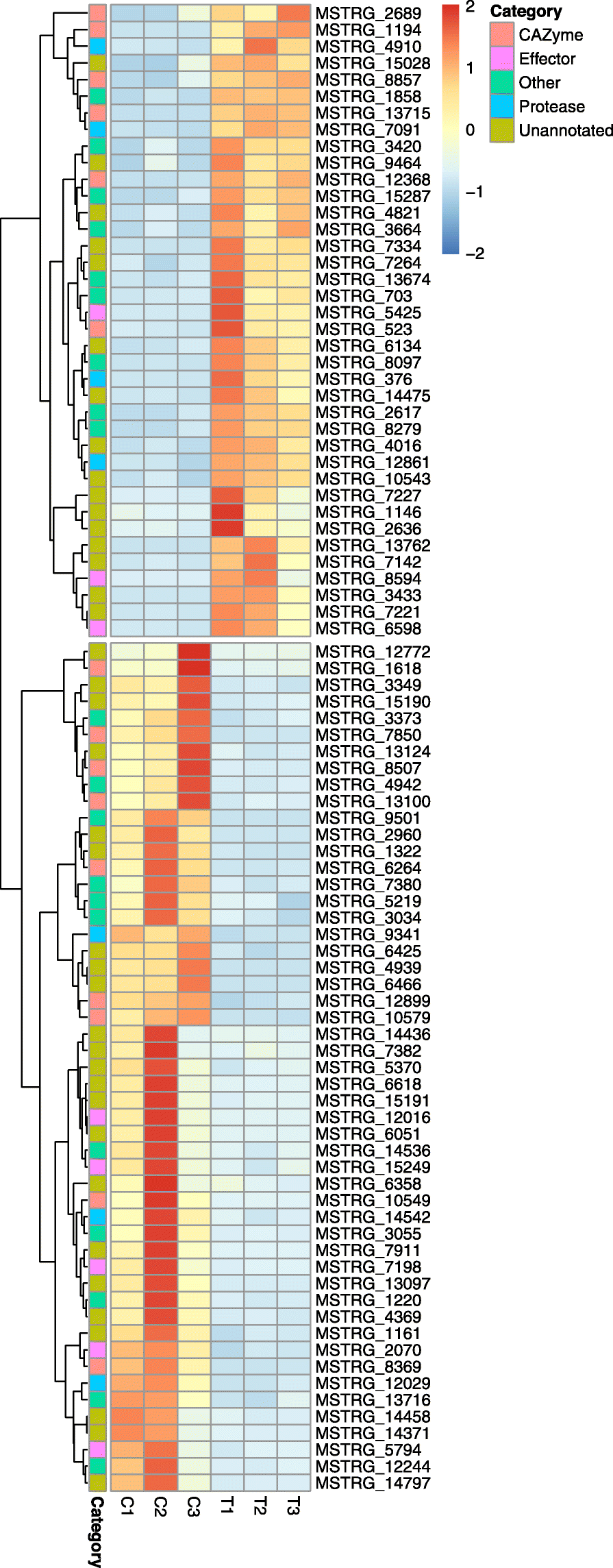 Fig. 4