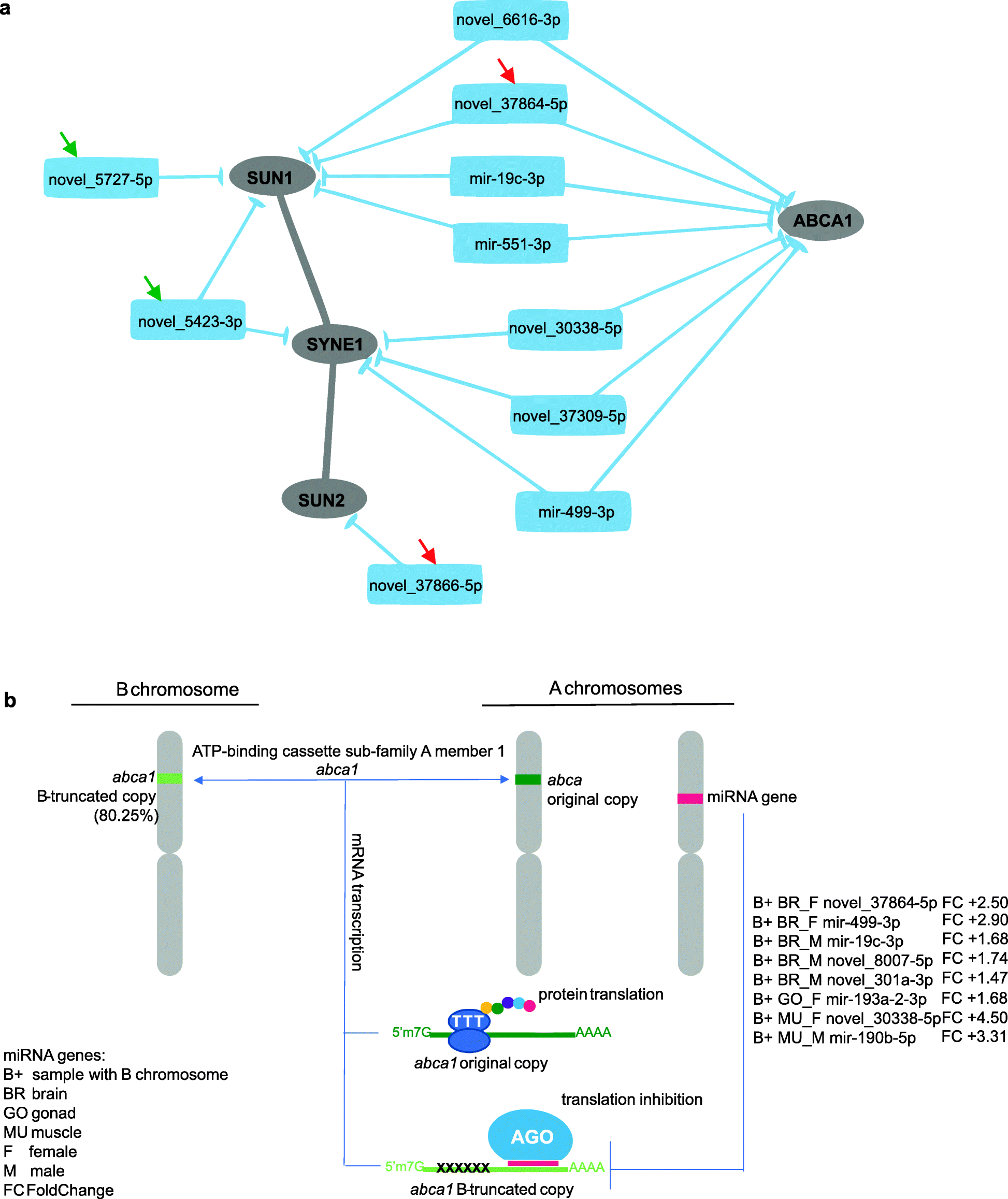 Fig. 5