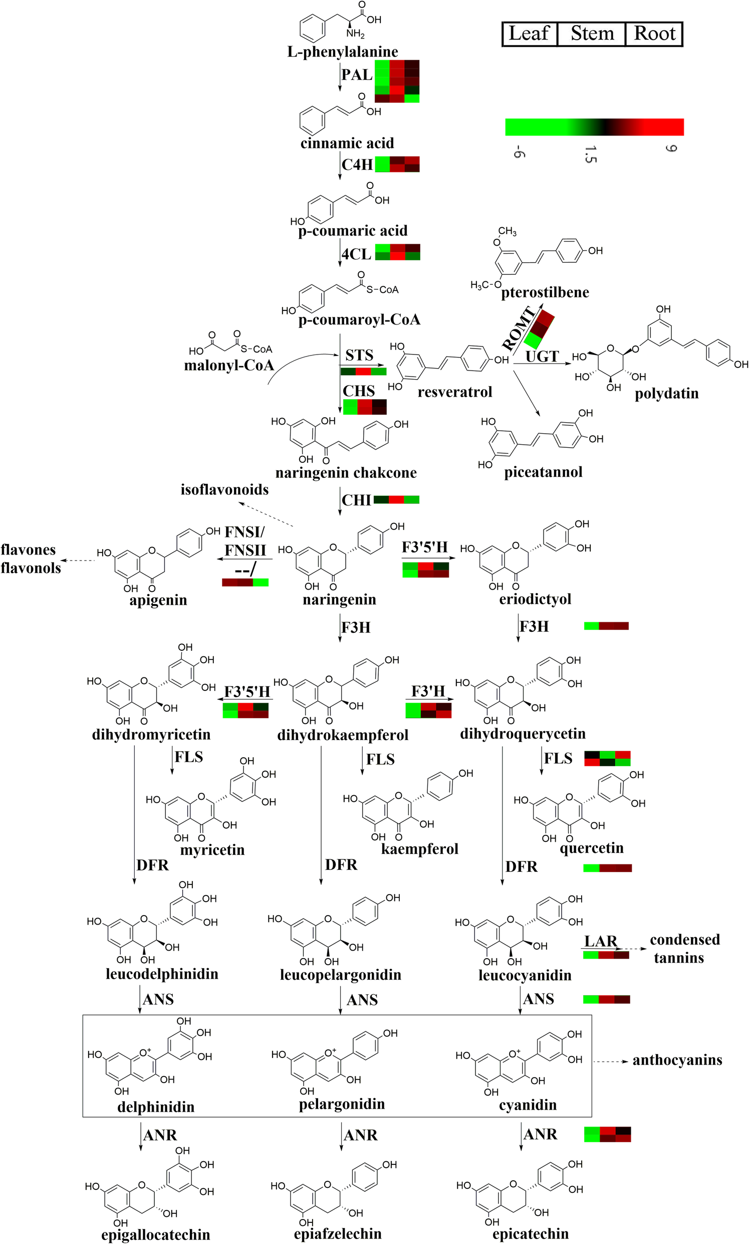 Fig. 7