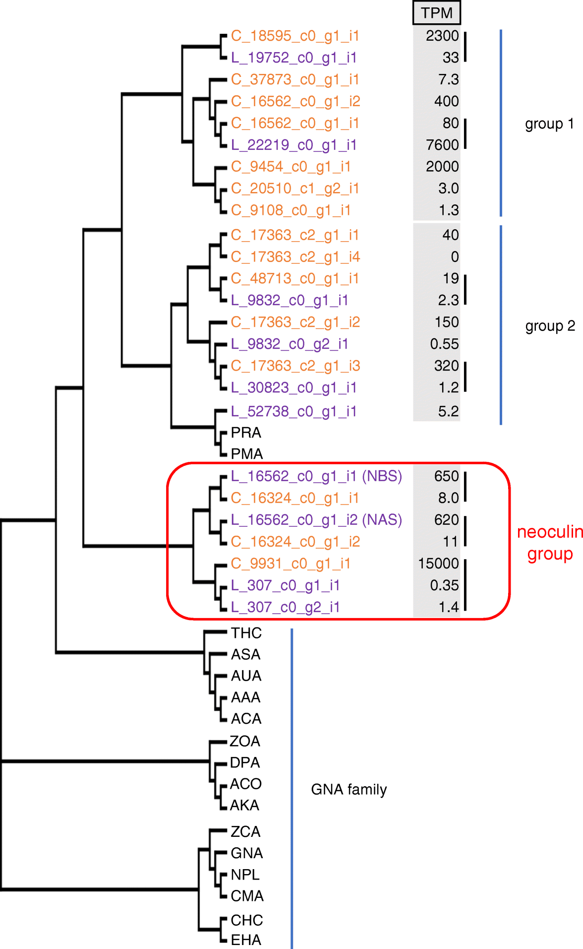 Fig. 5