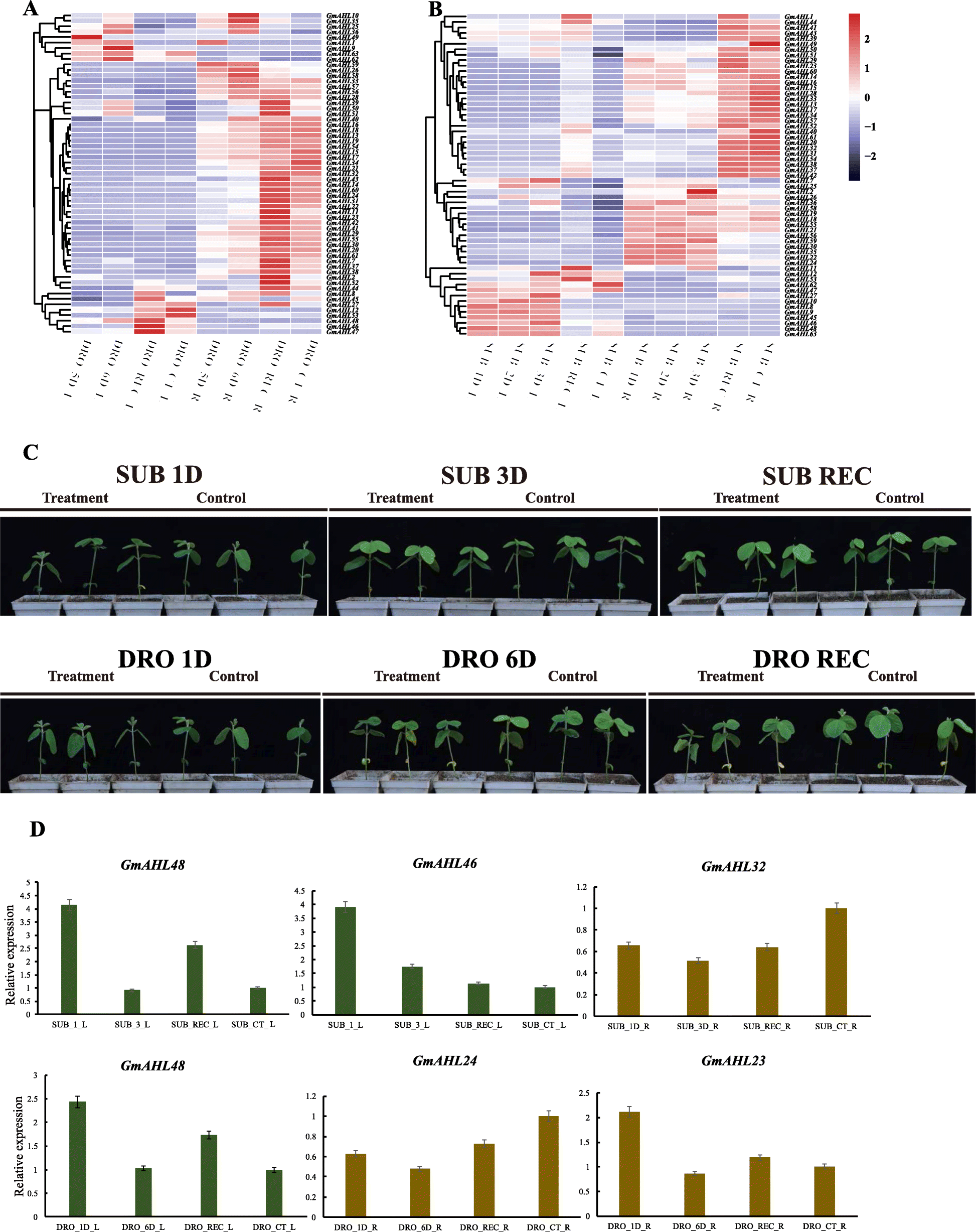 Fig. 10