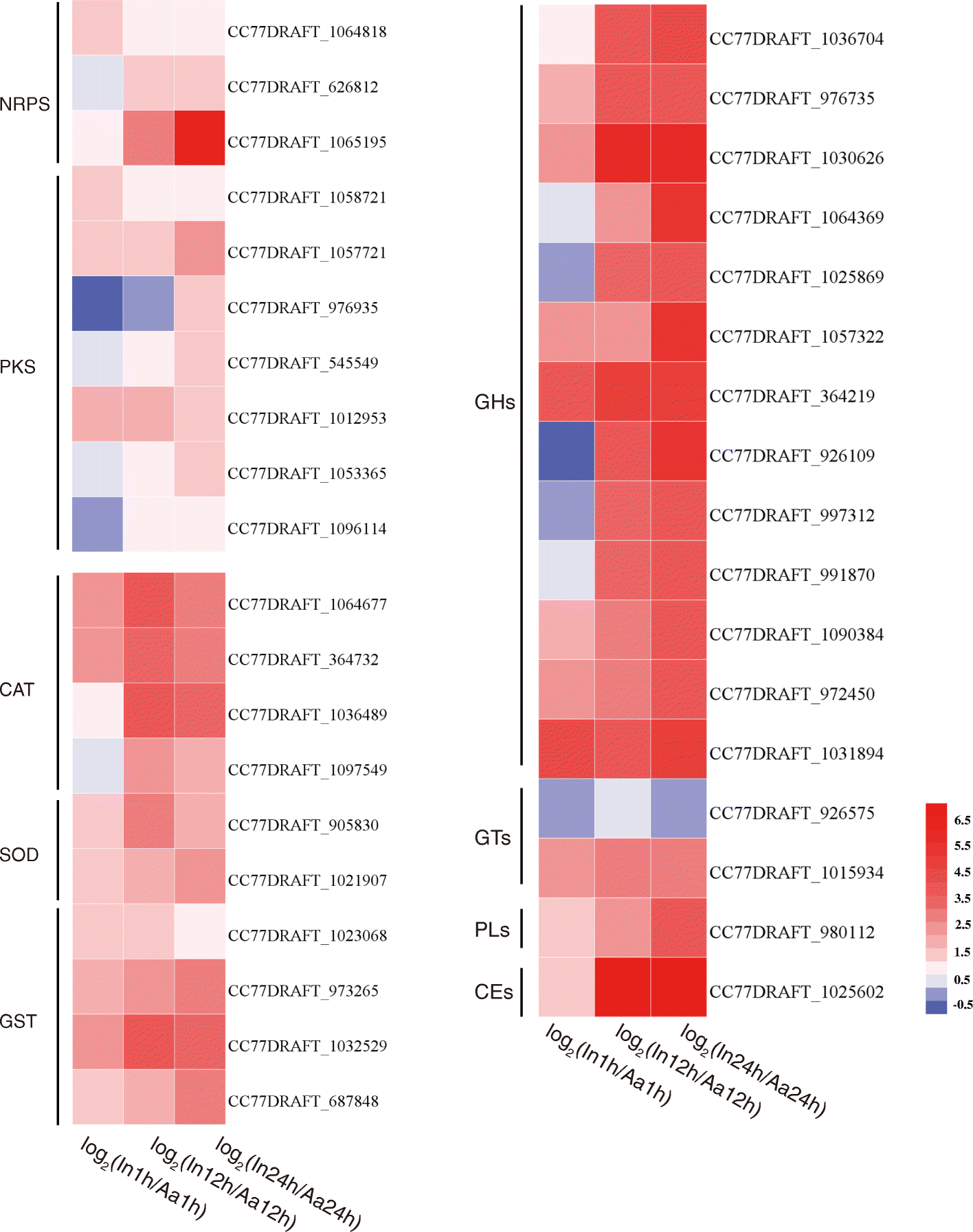 Fig. 4