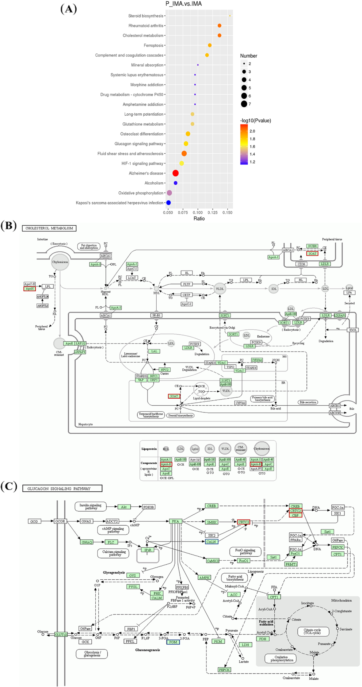 Fig. 6