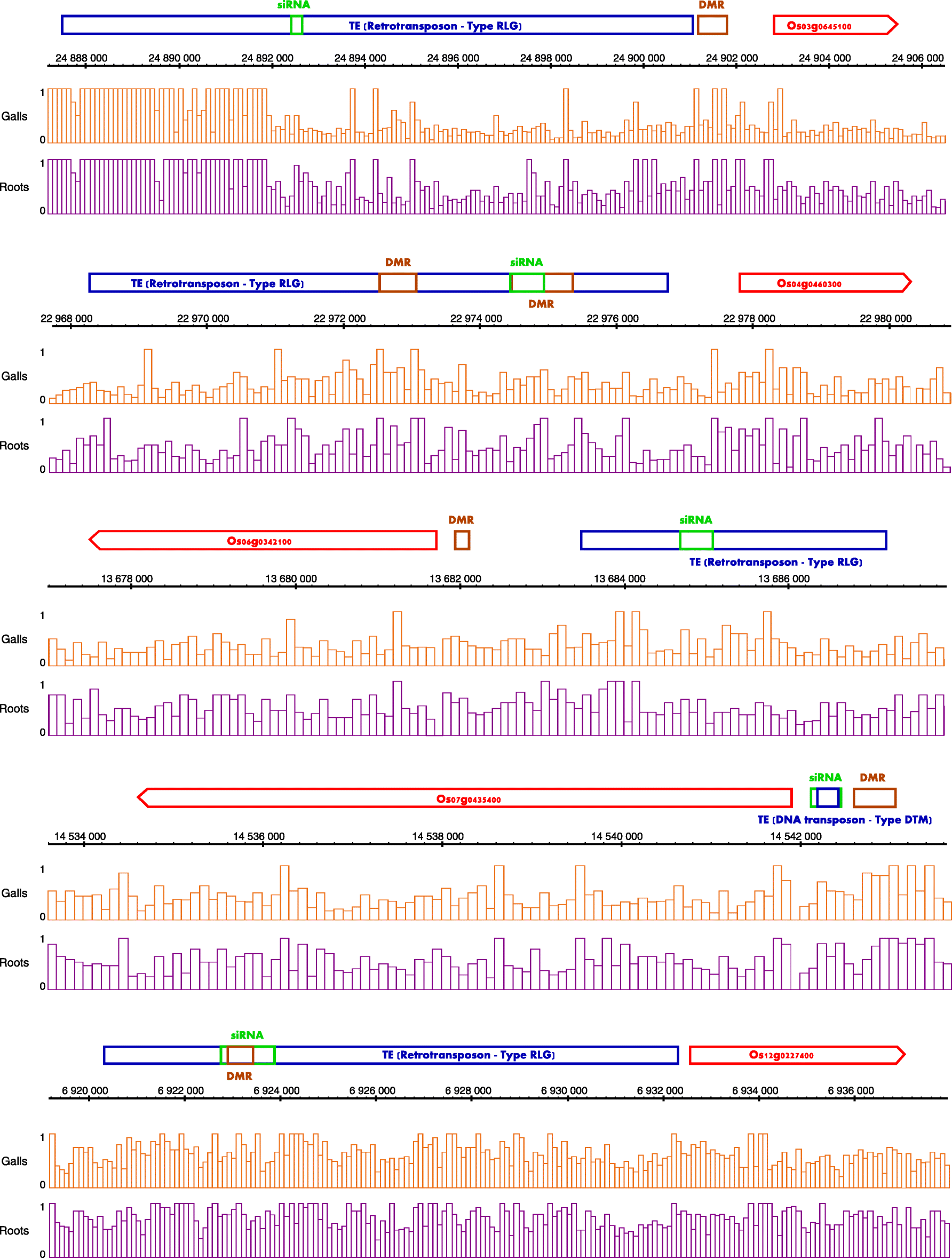 Fig. 7