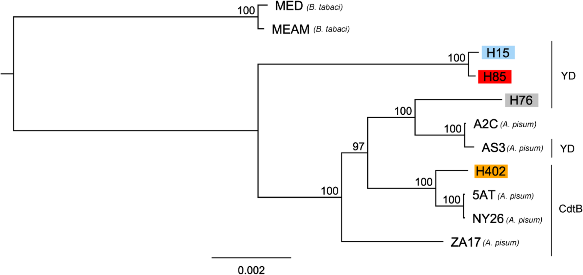 Fig. 8