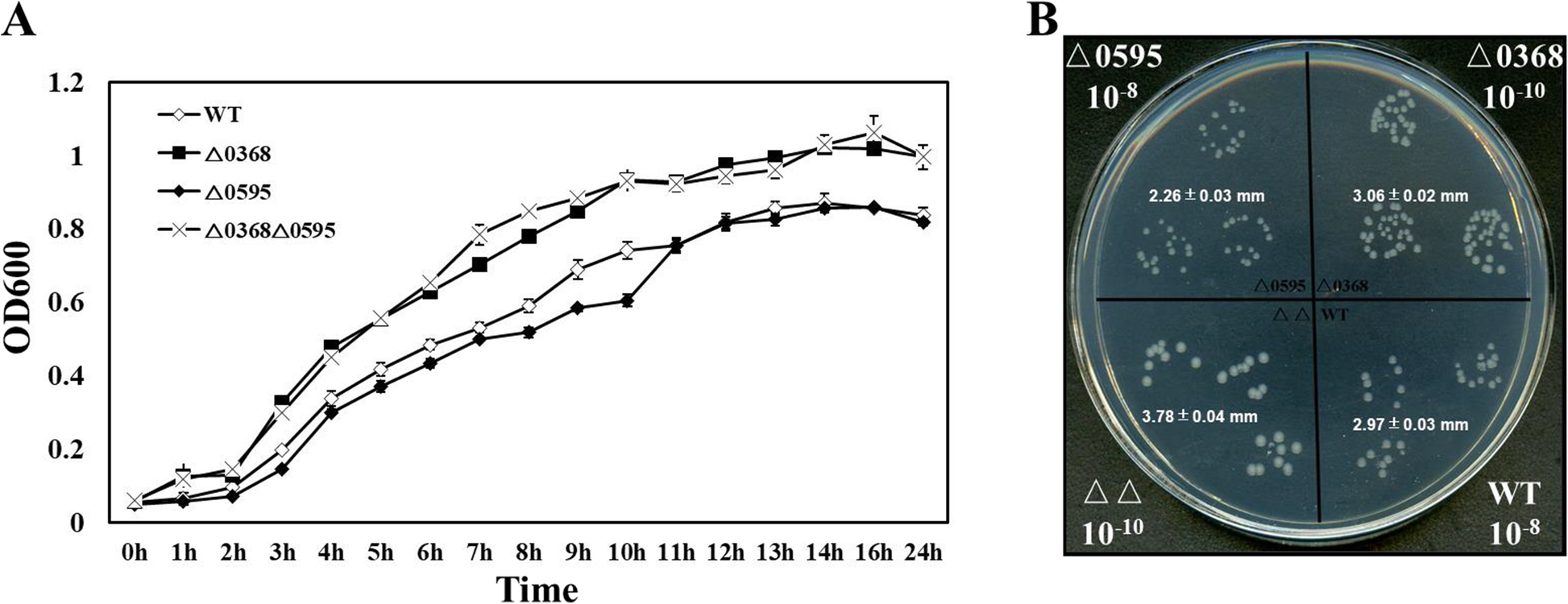 Fig. 3