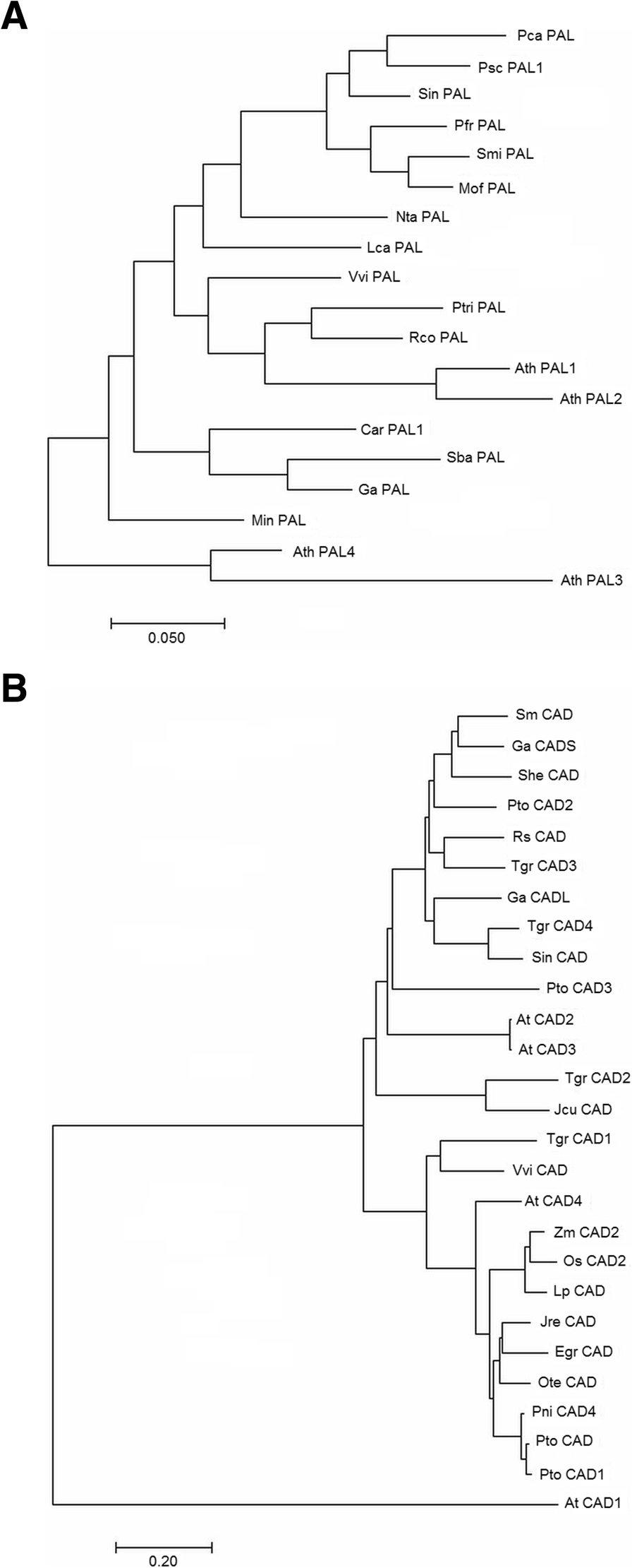 Fig. 9