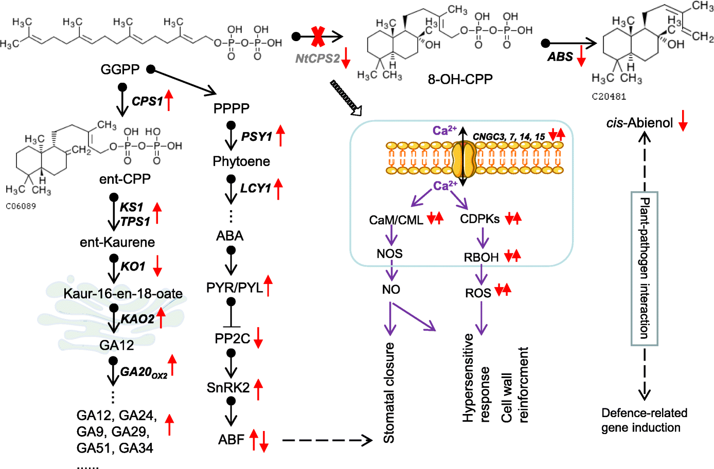 Fig. 7