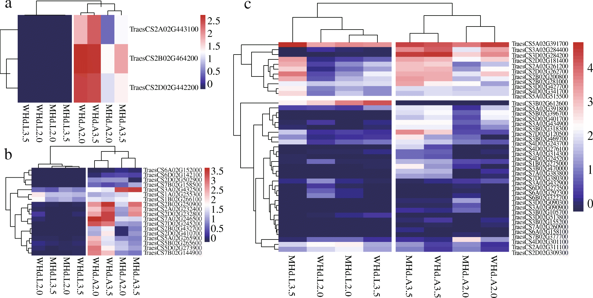 Fig. 5