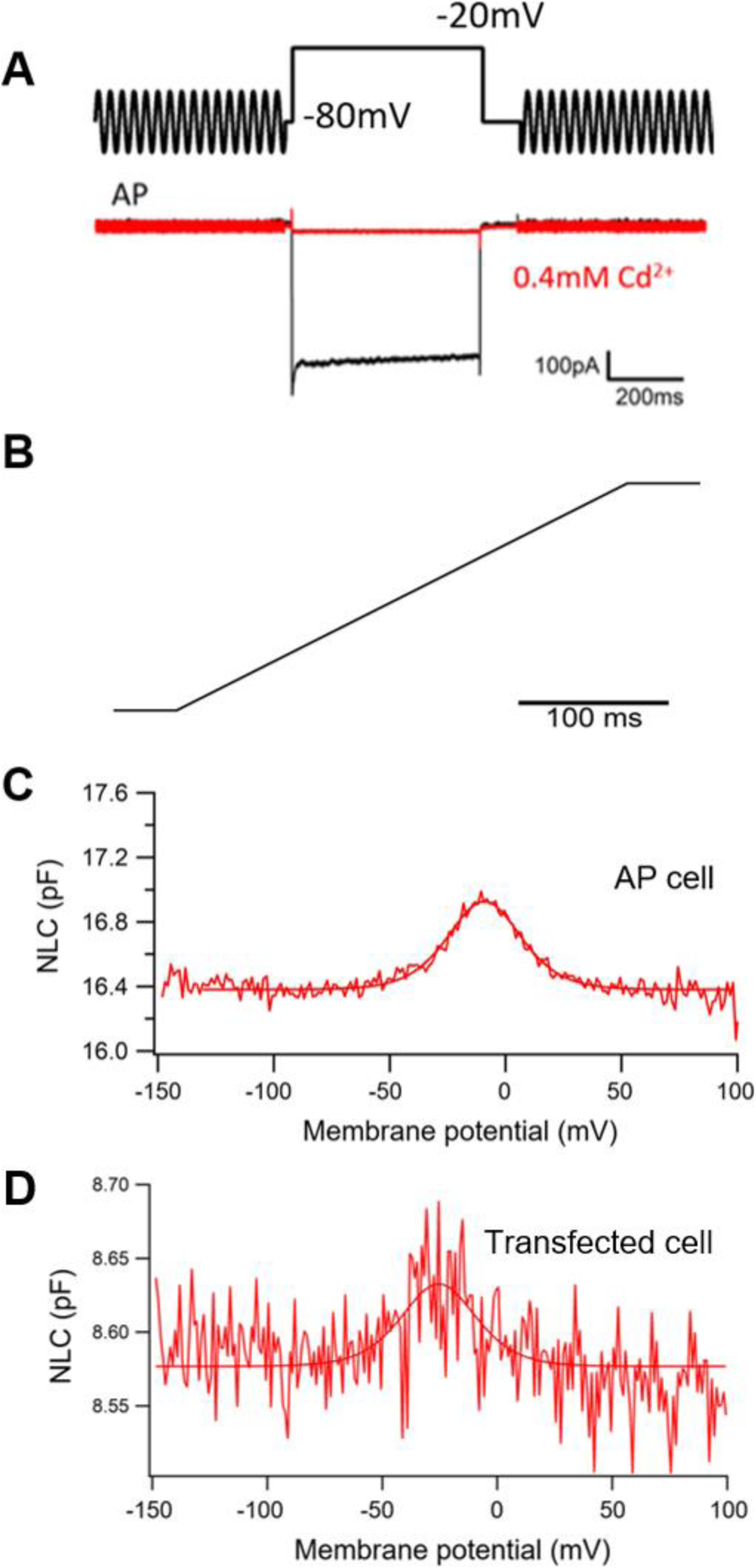 Fig. 3