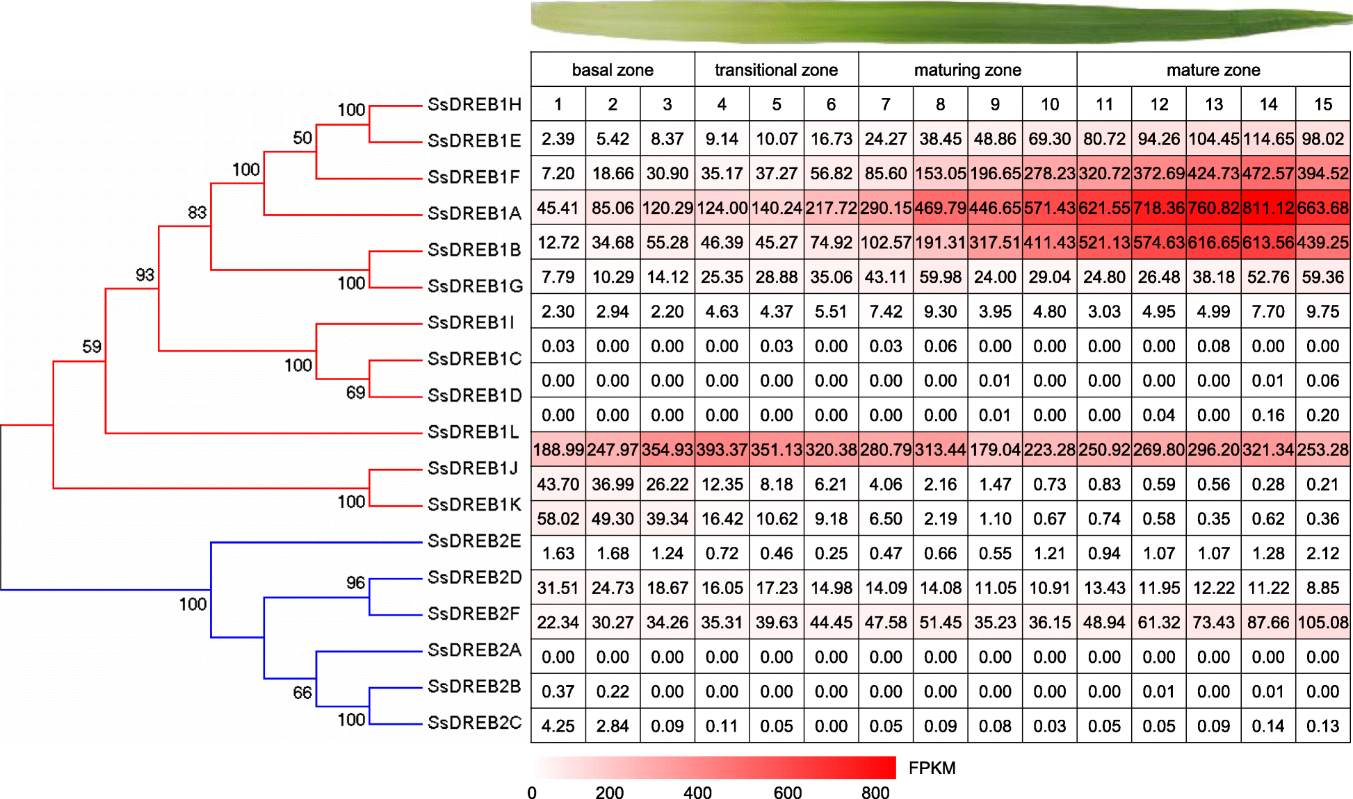 Fig. 6